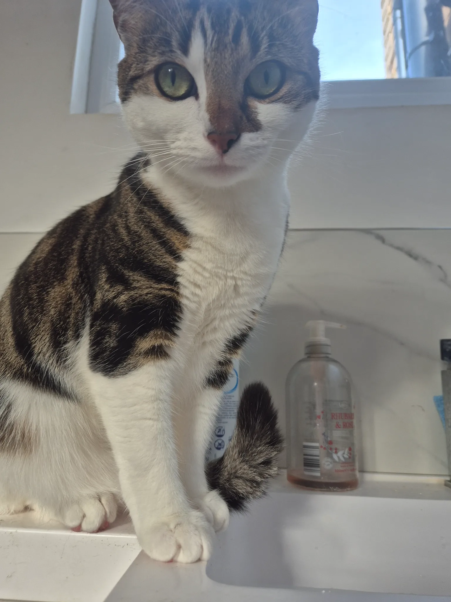 Digit - Elm Grove, Milton Keynes