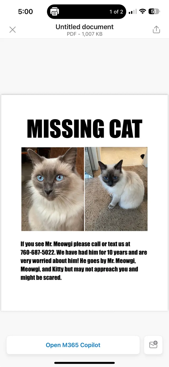 Mr Meowgi - 610 N Clementine St, Oceanside