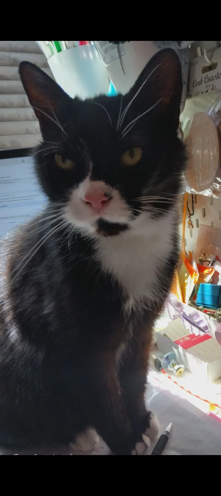 Typsy - Sandbach Road, Stockport