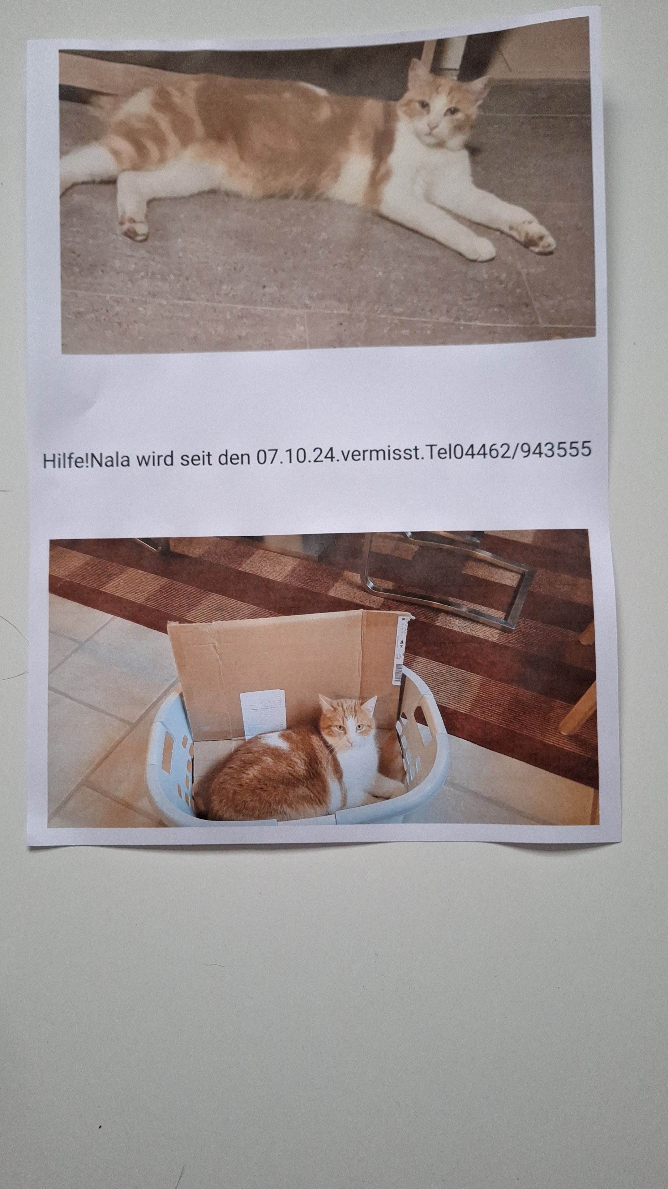 Nala - Hoveler Straße, Wittmund