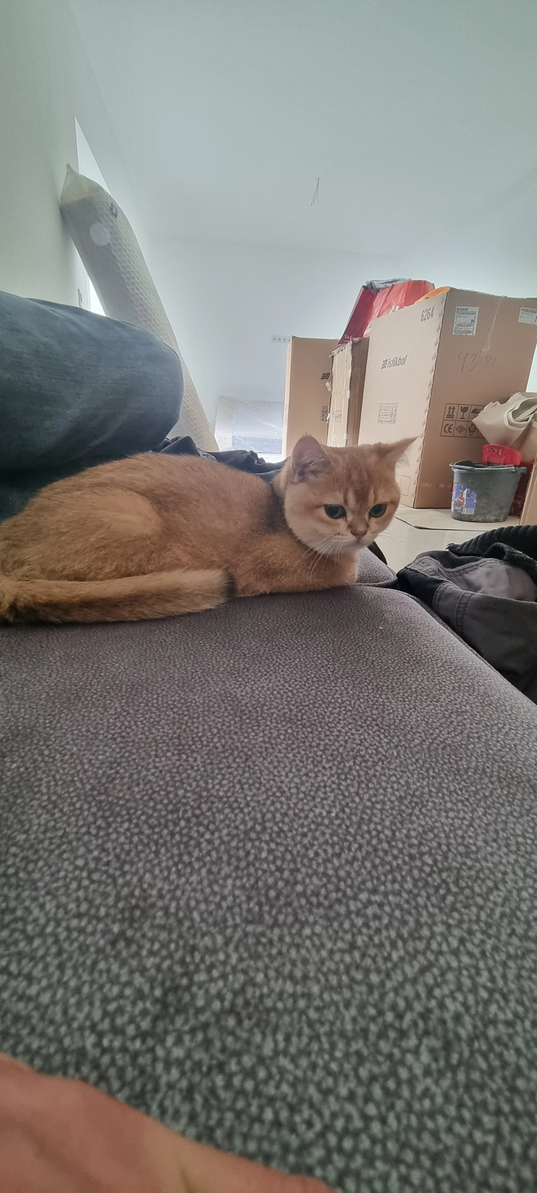 Riko - 22965, Todendorf