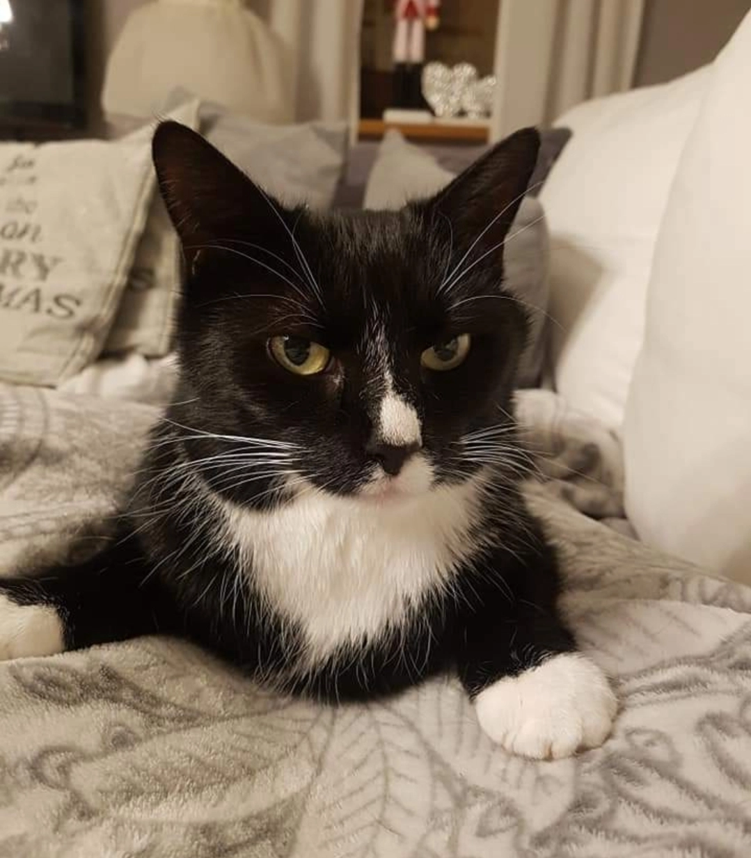 Frieda - Am Köppel, Breidenbach