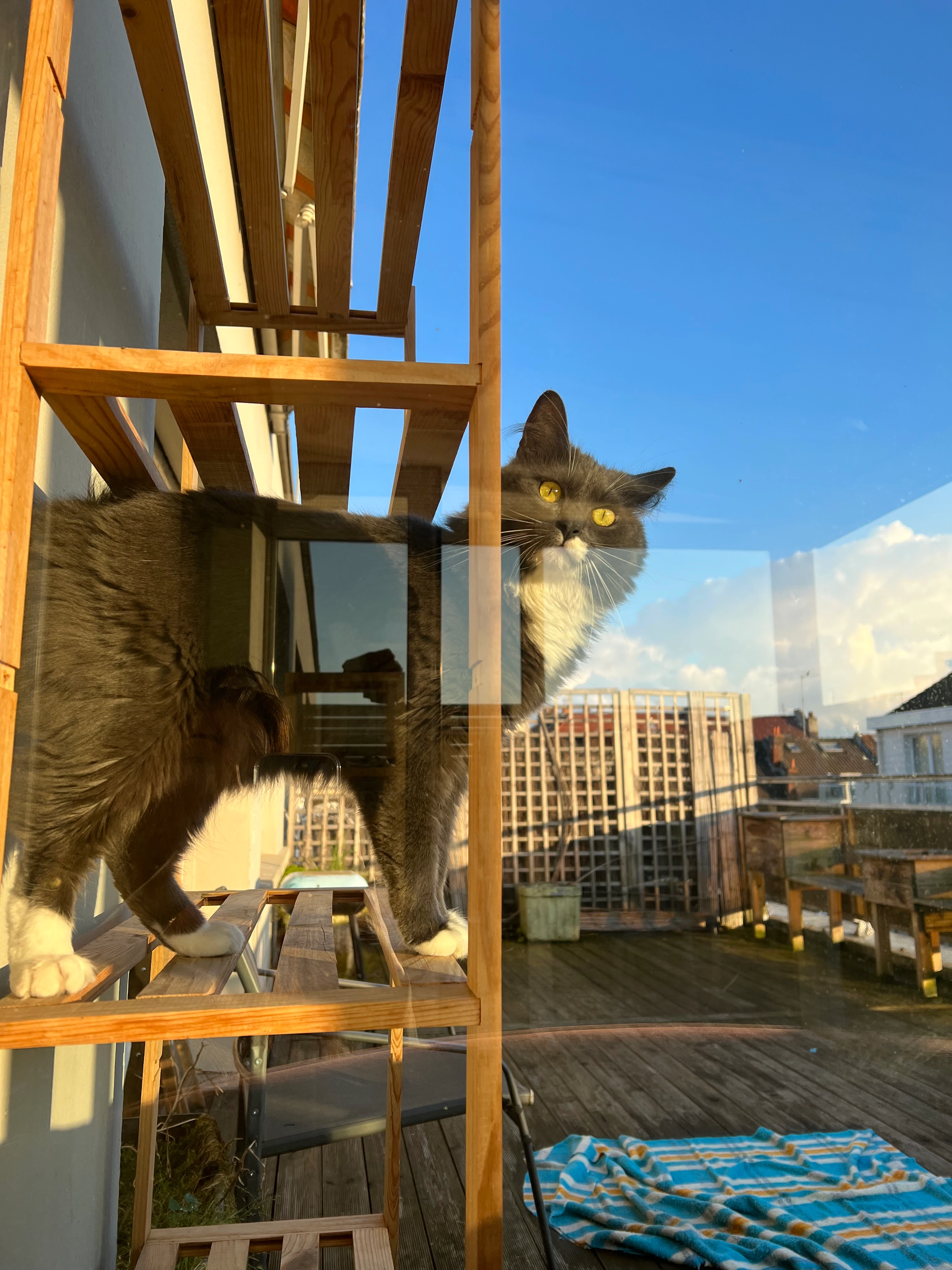 Alfred - 4 Rue Guillaume Apollinaire, Lille