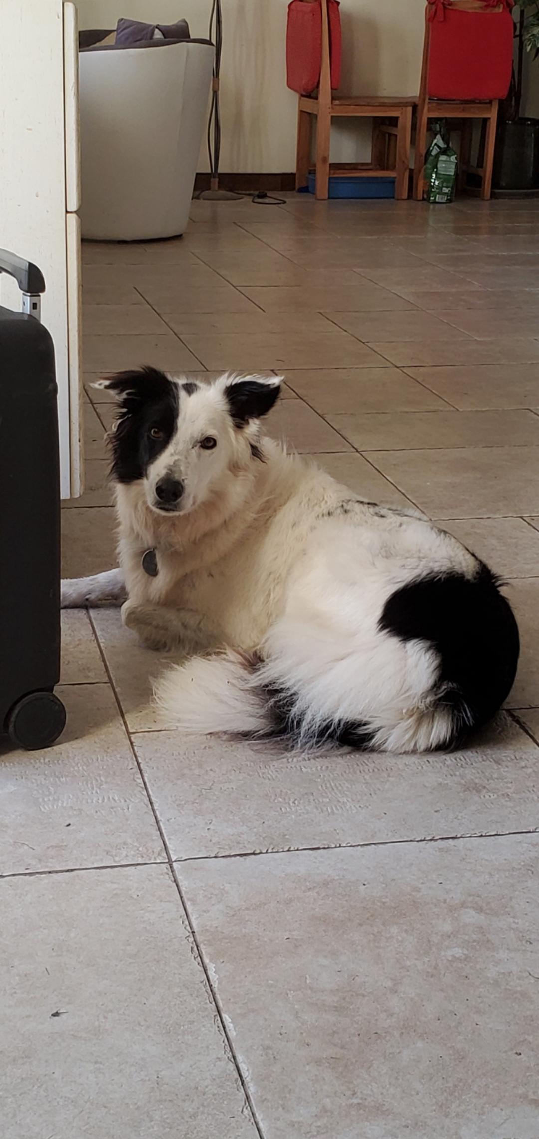 Plume - Route de Monestier, Deneuille-lès-Chantelle