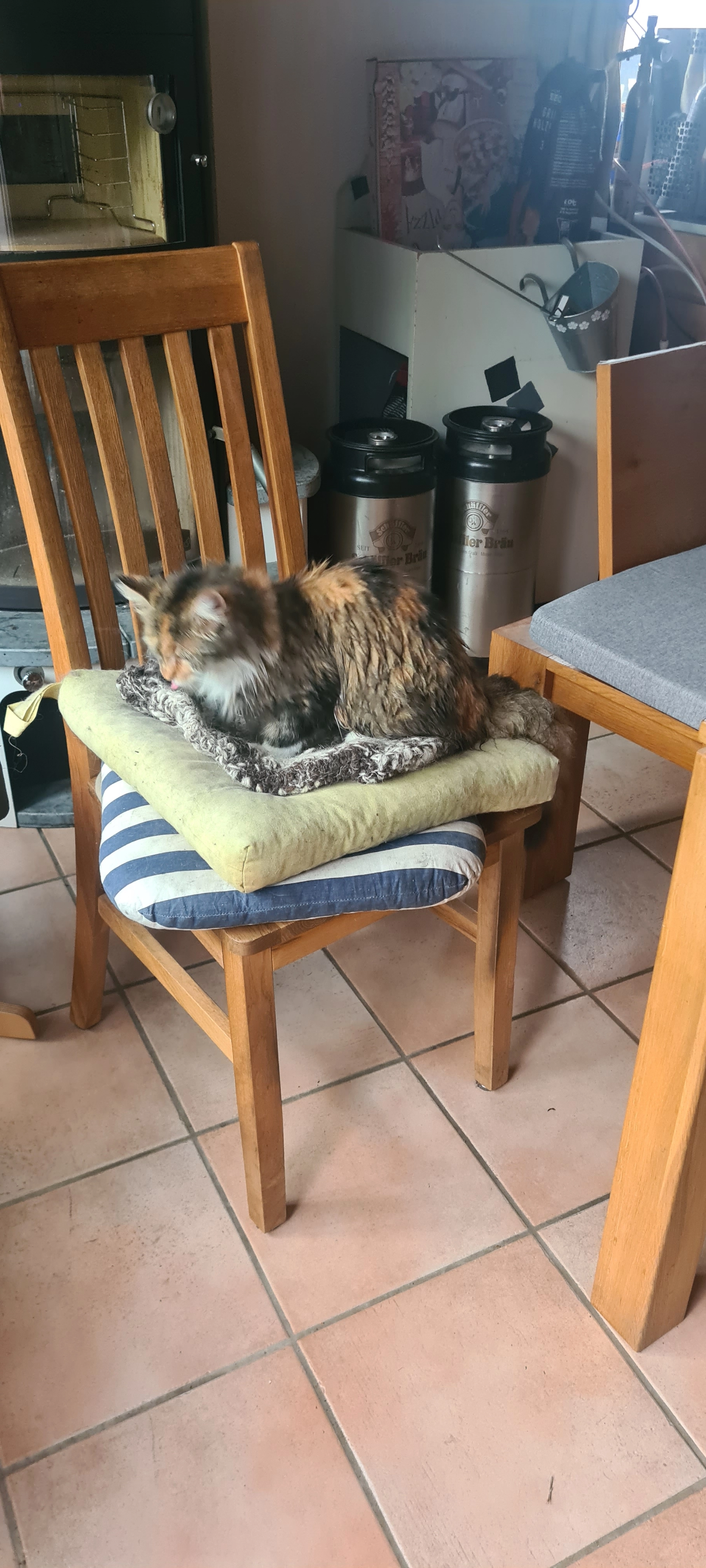 Resi - Rappenscheuchen, Kempten