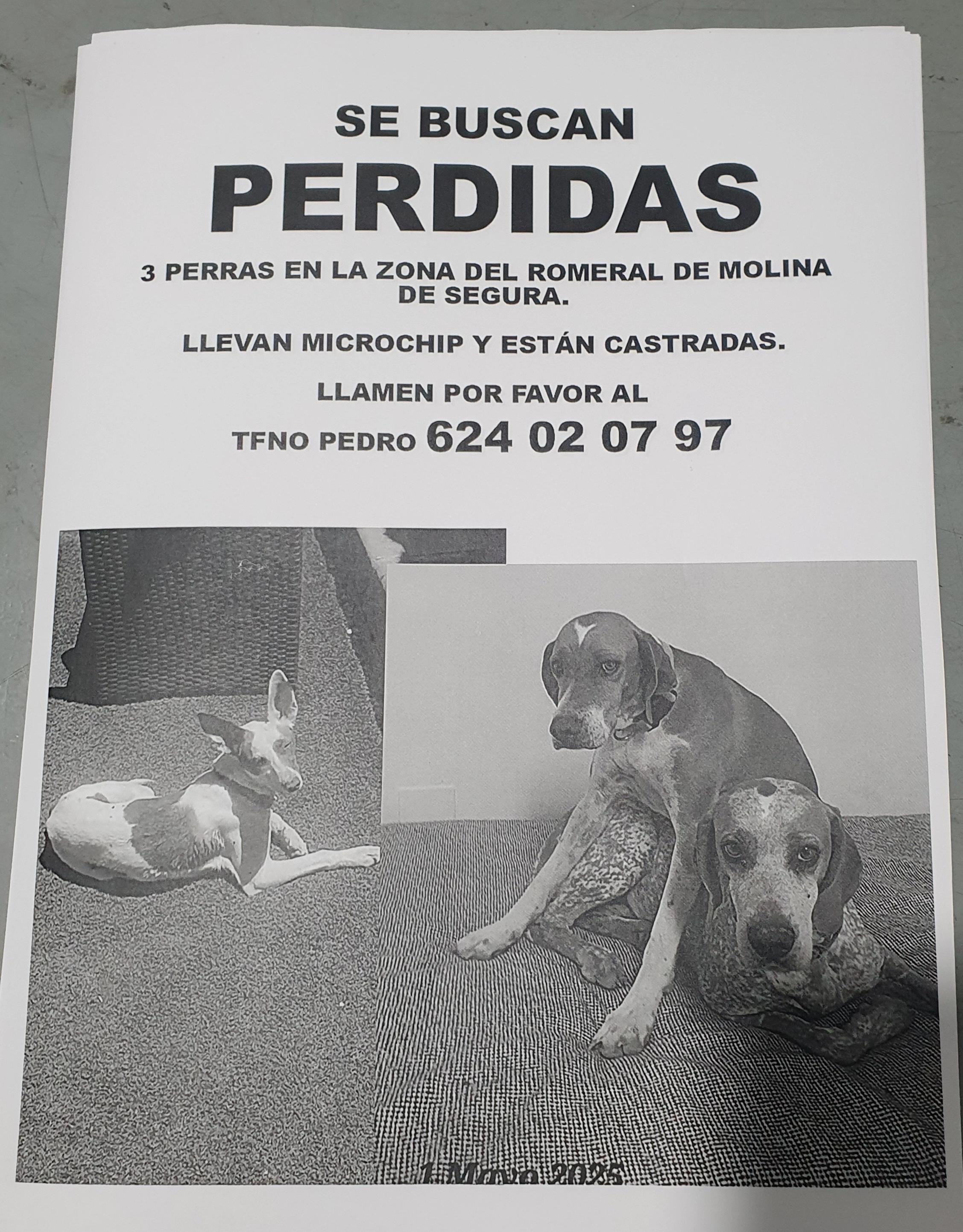 Duka - Calle Río Guadalquivir, Lorquí