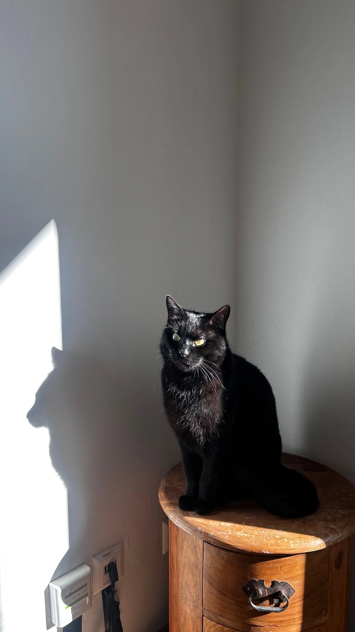 Mohn - Neue Heimat, Bad Endorf