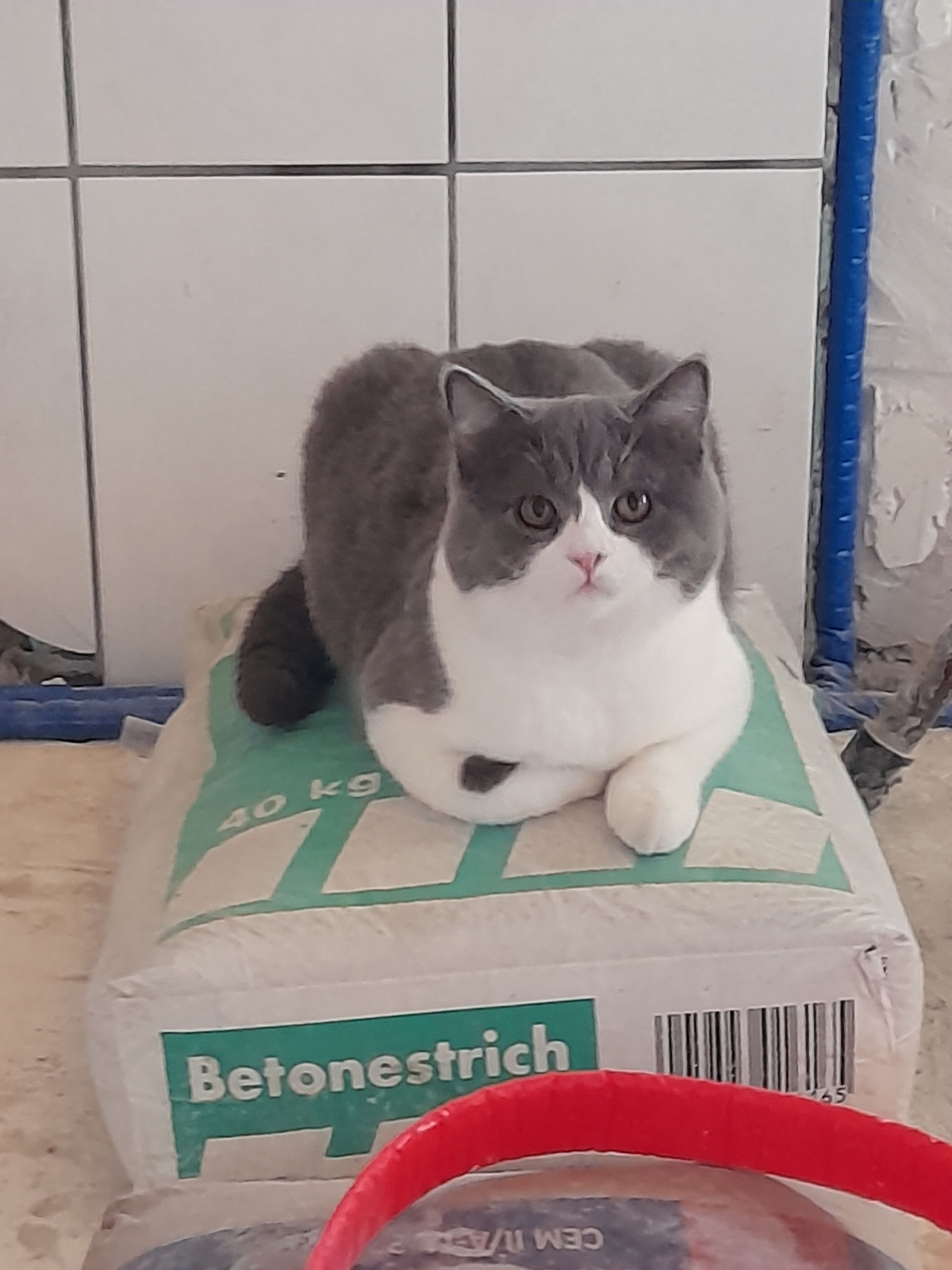 Oskar  - Hauptstraße, Liebenscheid