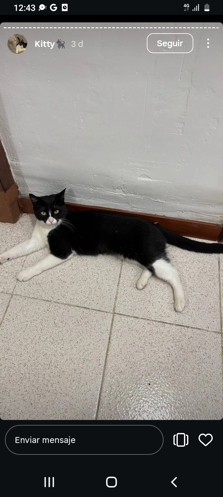 Michi - Passeig de la Vall d'Hebron, Barcelona