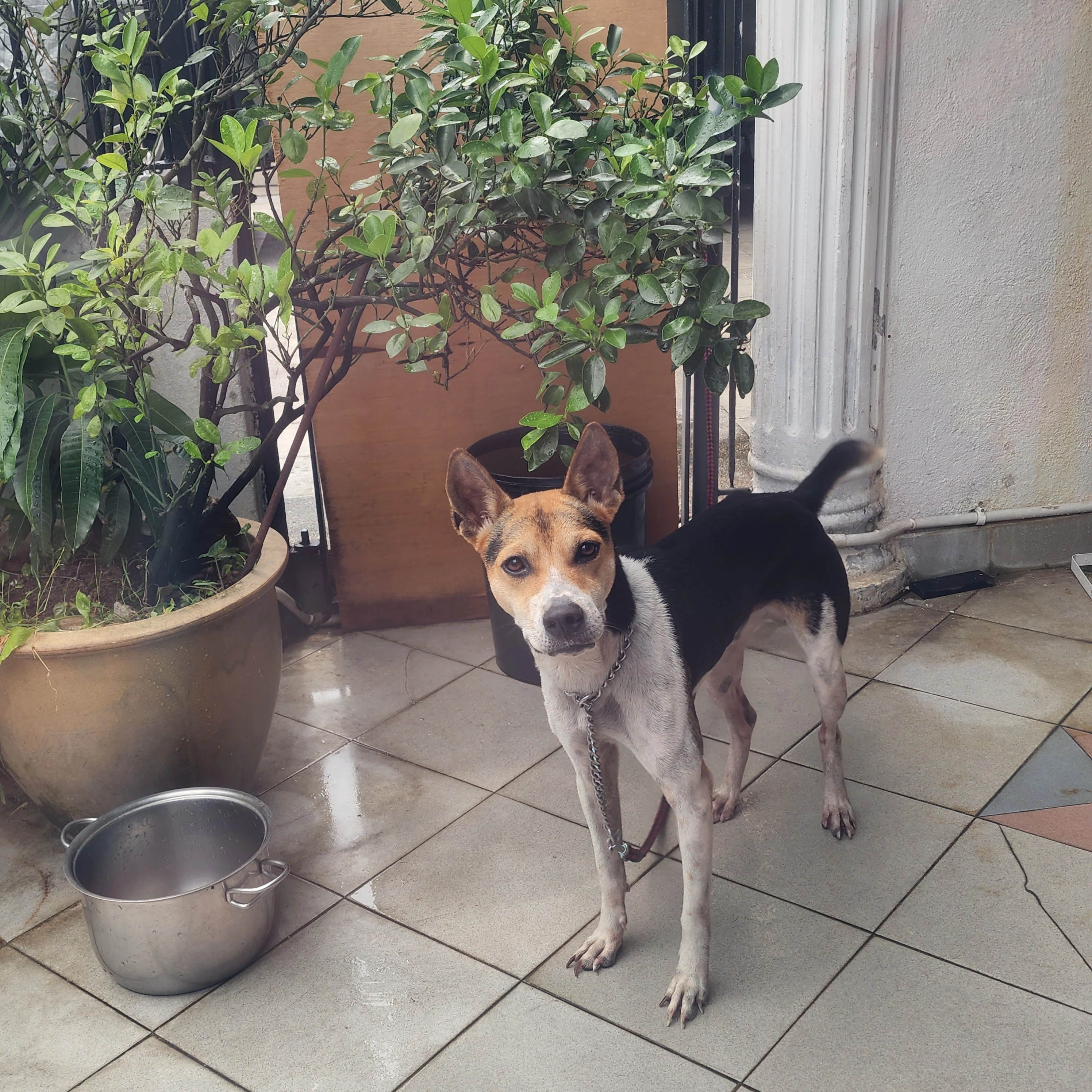 toto - Jalan Bunga Melur 2, Cheras