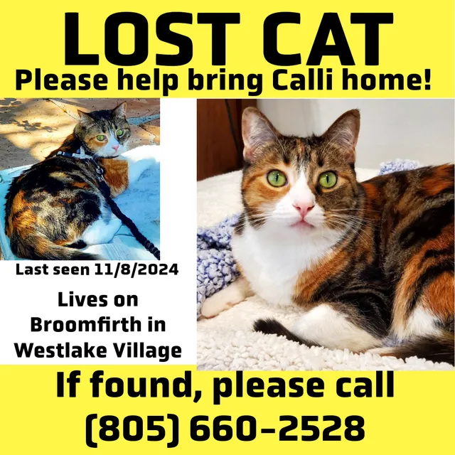 Calli - Broomfirth Ct, Westlake Village