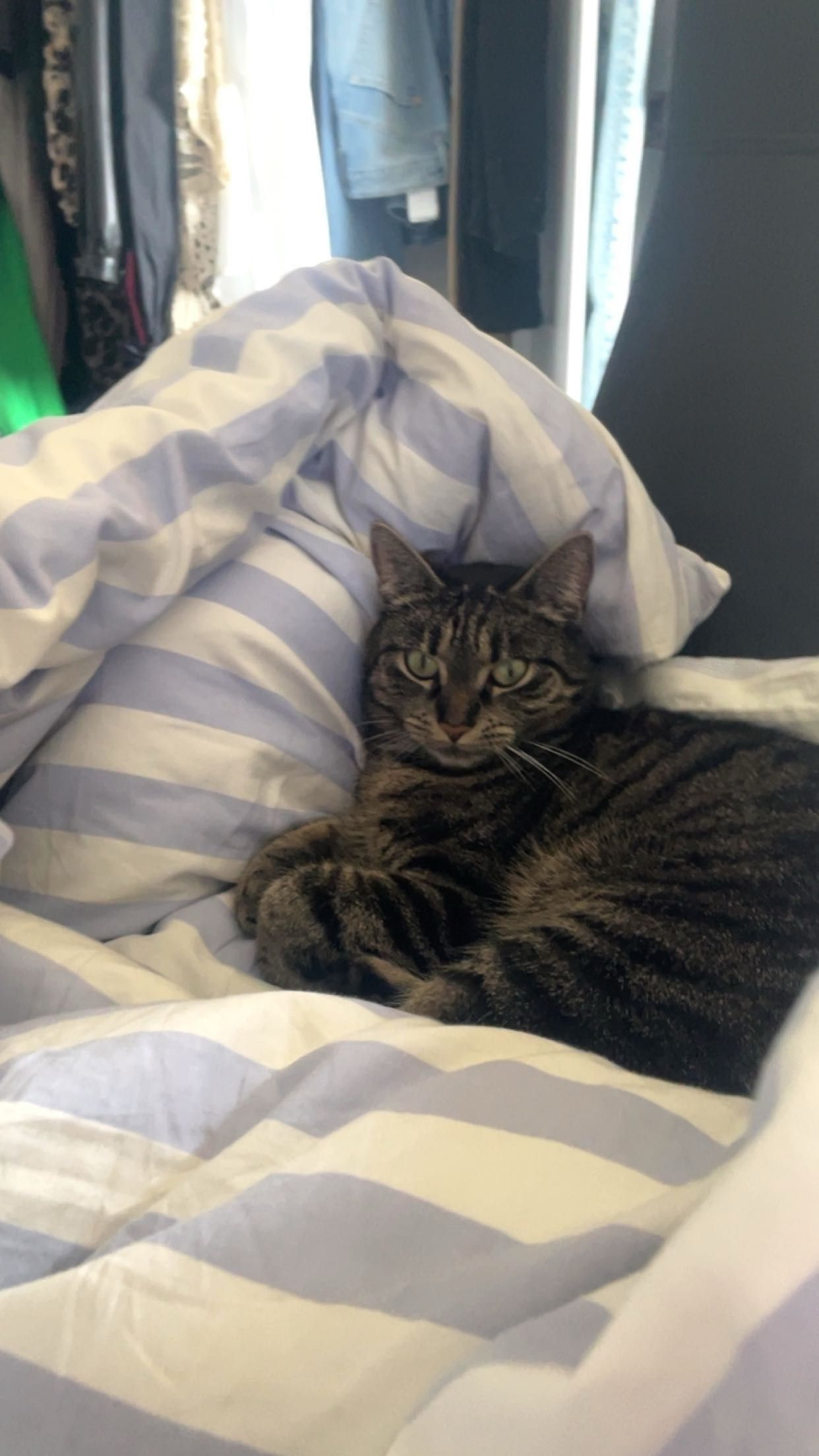 Avani - Feldstraße, Soltau