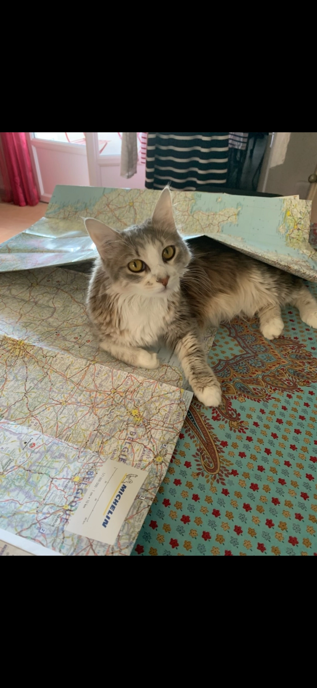 Isis - Rue Du Stade, Lozanne