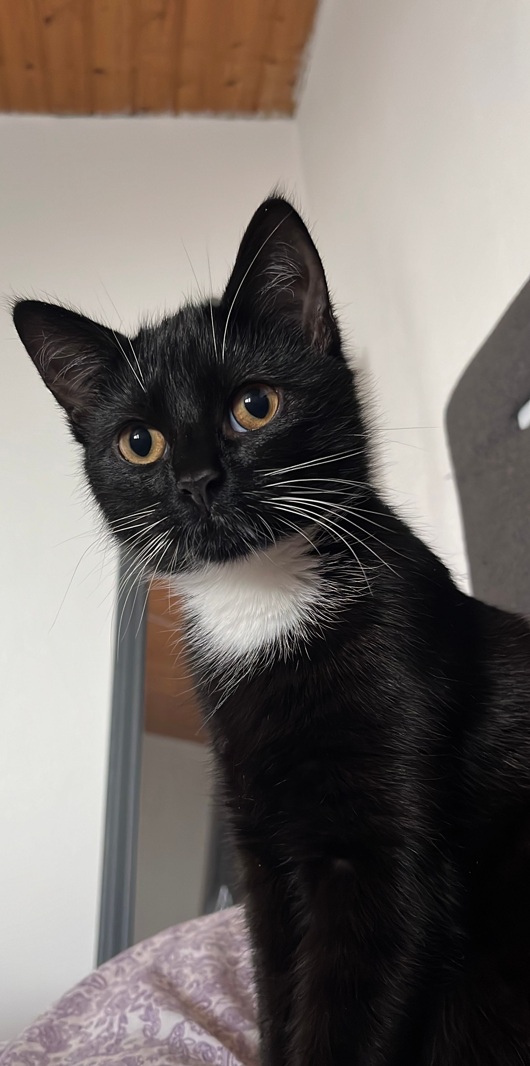 Alia - Bergstraße, Seck