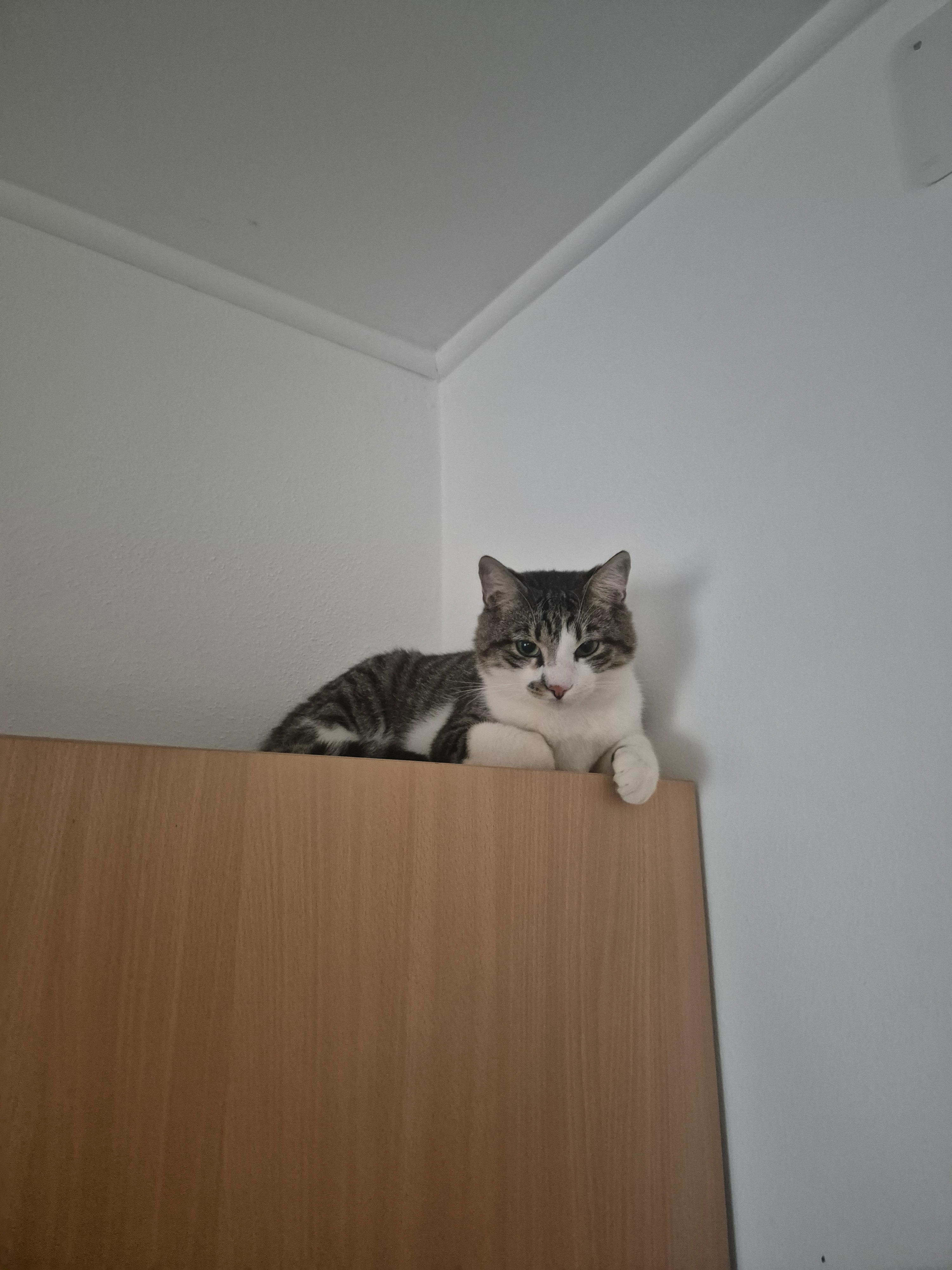 Dulli  - Schwarzenbacher Straße, Helmbrechts