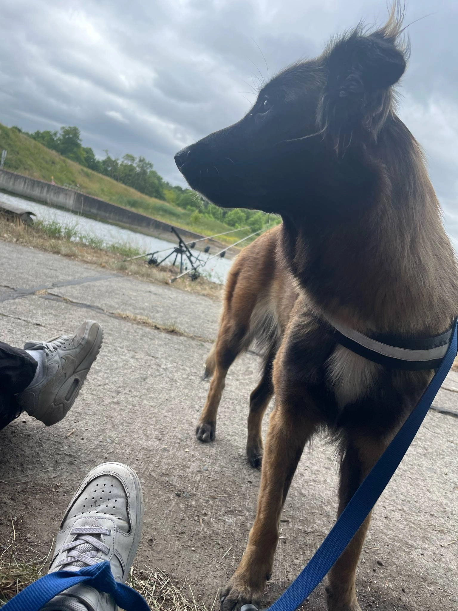 Diane - Rue de Ciply, Mons