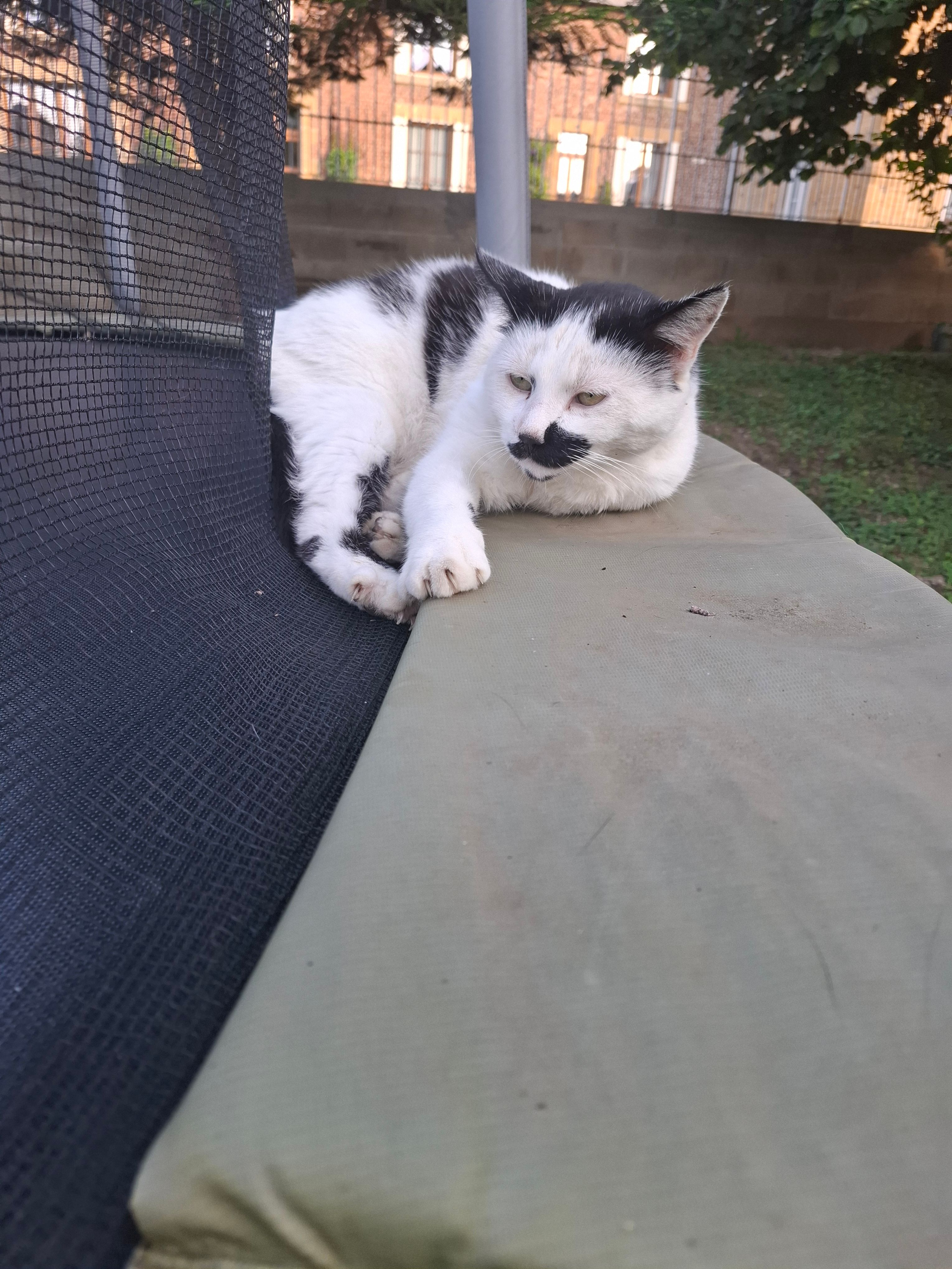 Kiki  - Rue Lamartine, Noyers-Pont-Maugis