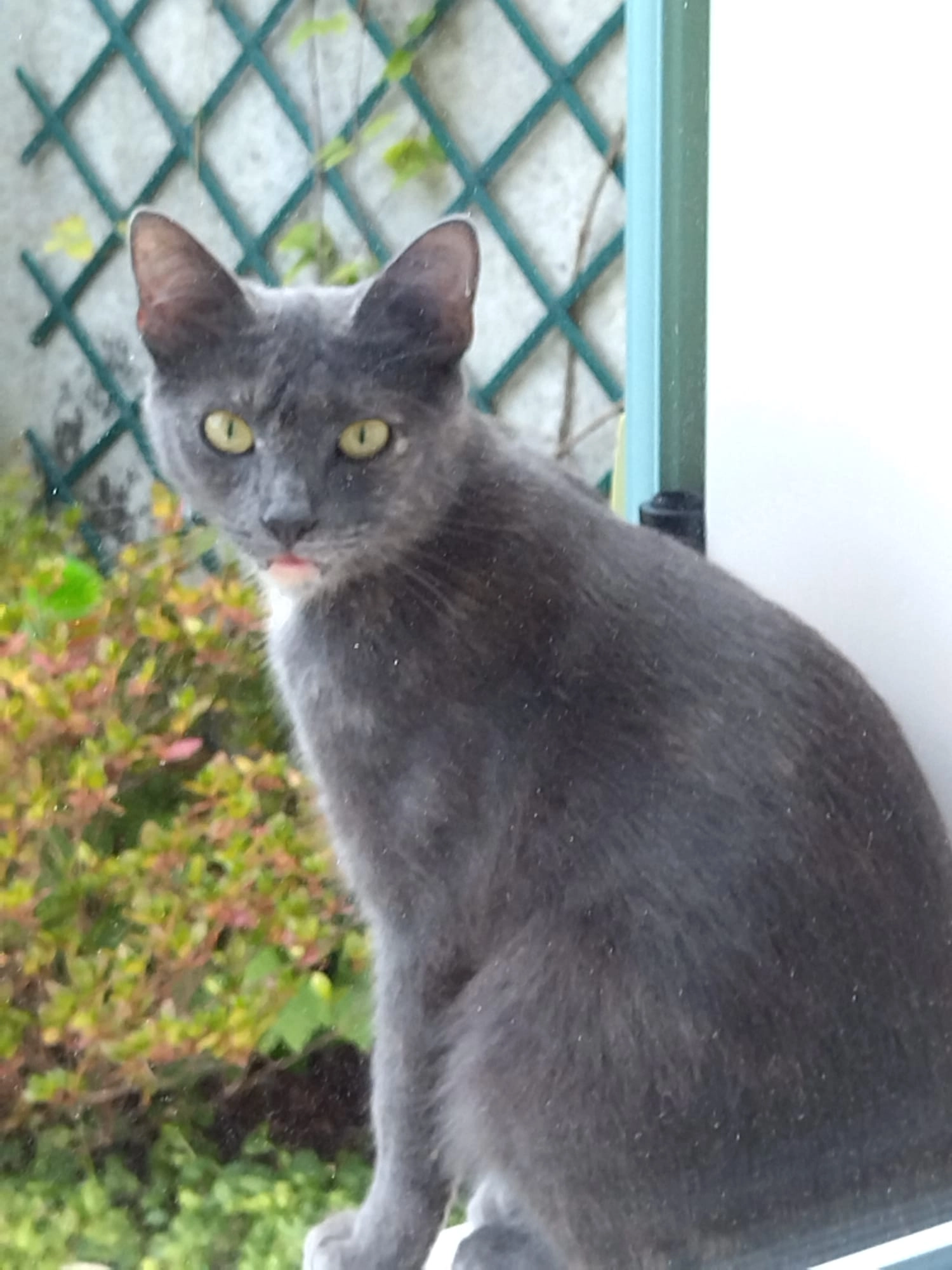Poupette - Allée du Genévrier, Tremblay-en-France