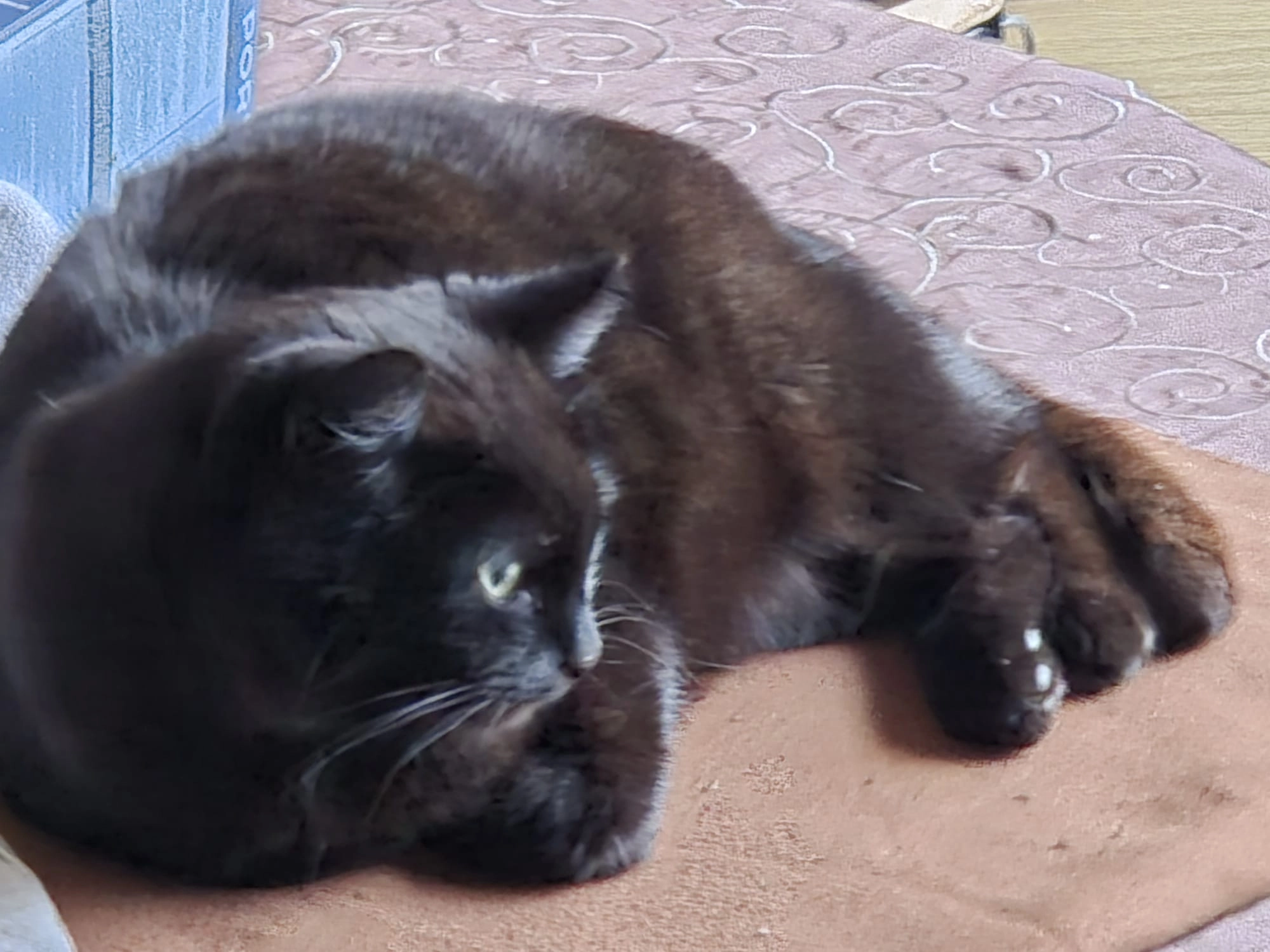 Purumuku - Rue des Moulins , Lessines