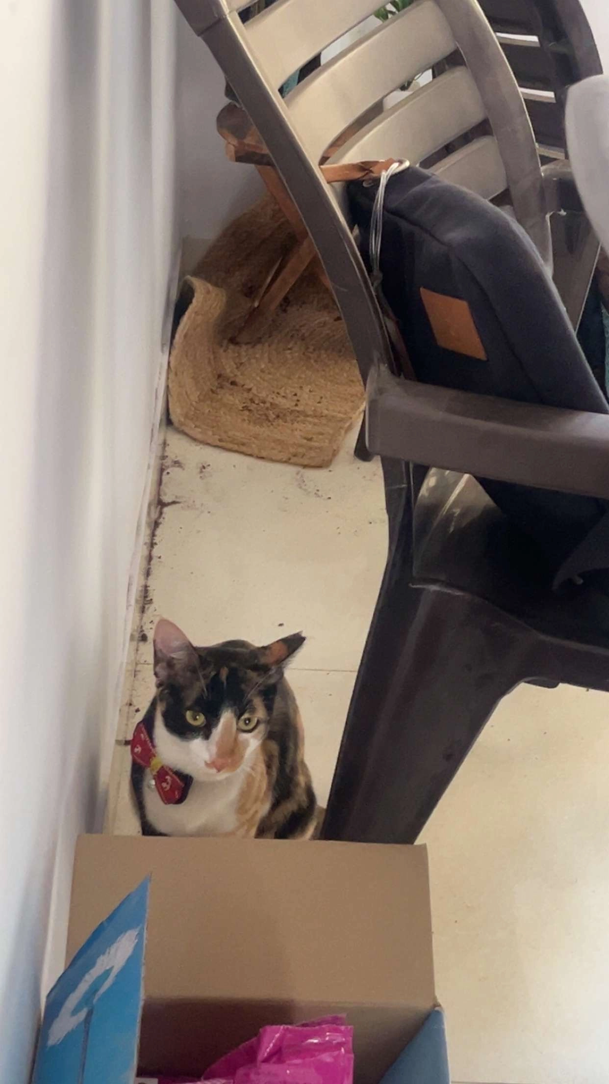 Alfie - Viman Nagar Road, Pune