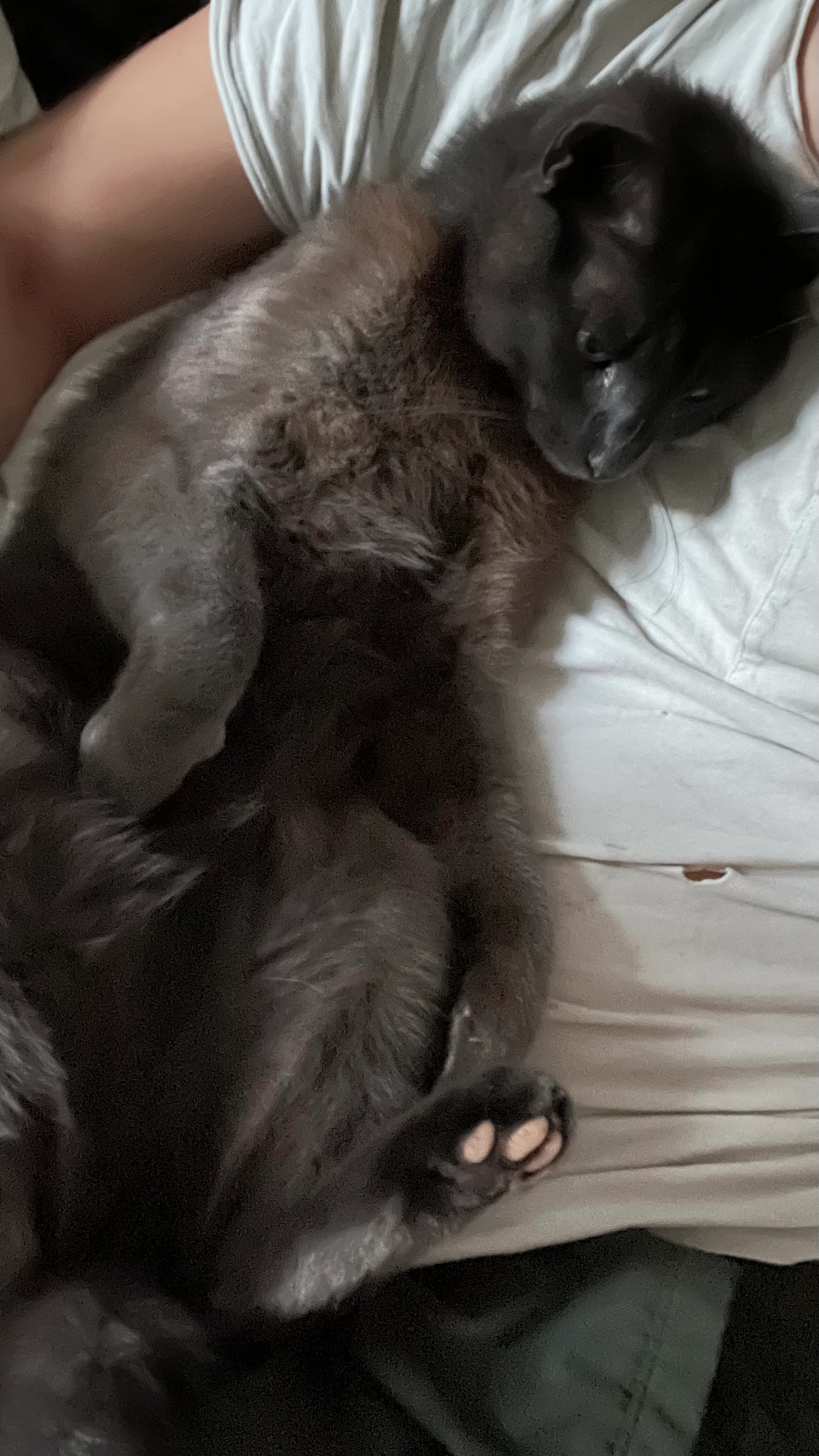 Oslo - Hjuviksvägen, Torslanda