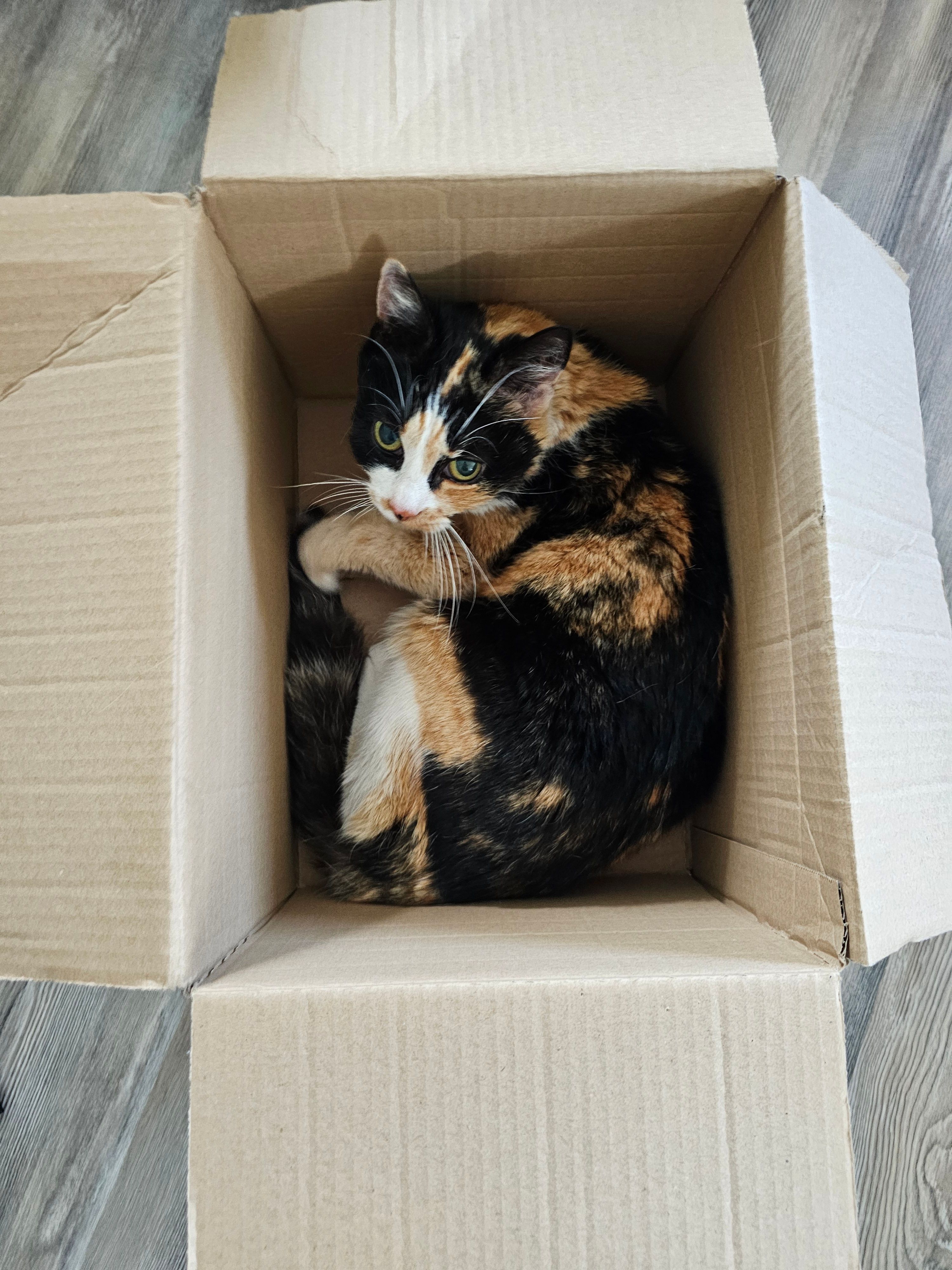 Magic - Parschluger Straße, Kapfenberg