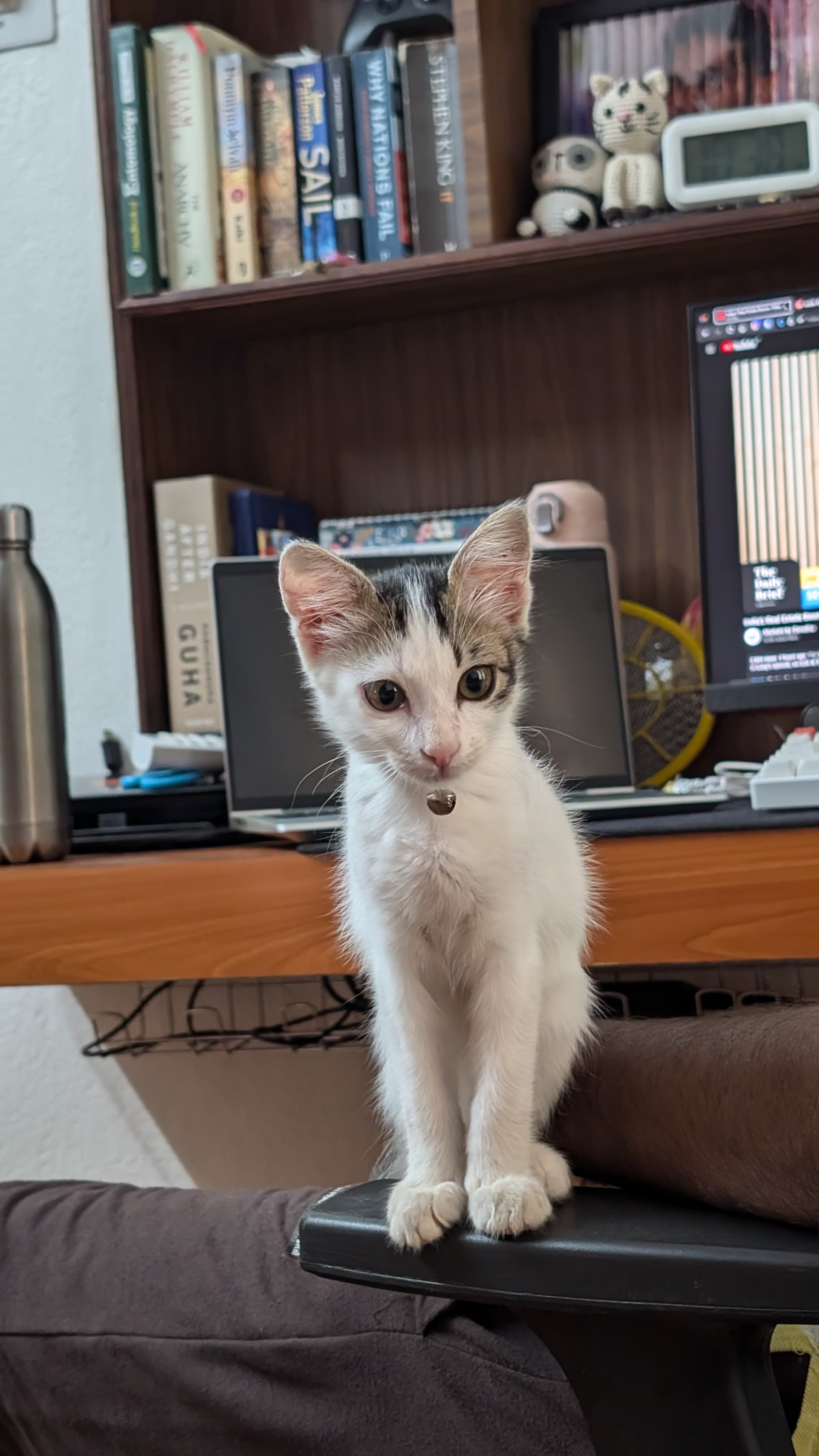 Meenu - Selvapuram Veerapandi Pirivu Road, Coimbatore