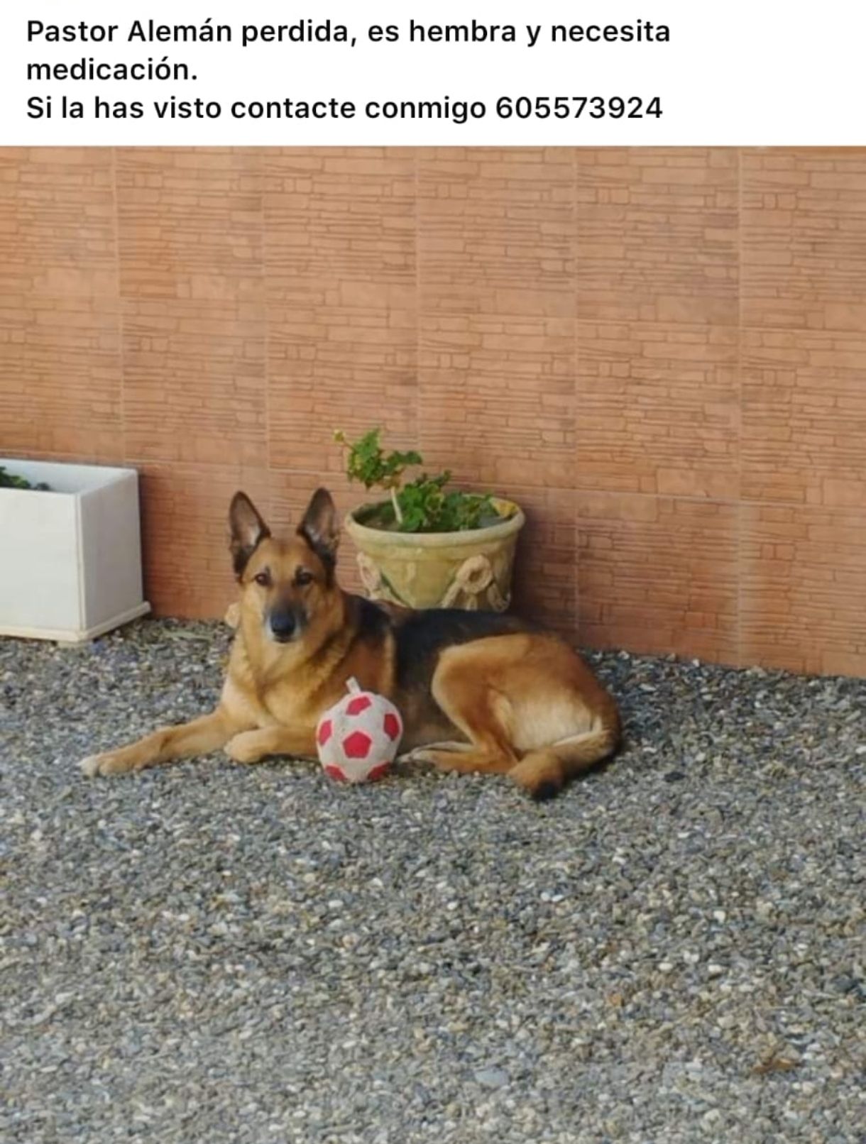 Mika - Carretera de Cartama Pueblo a Estación, Cártama