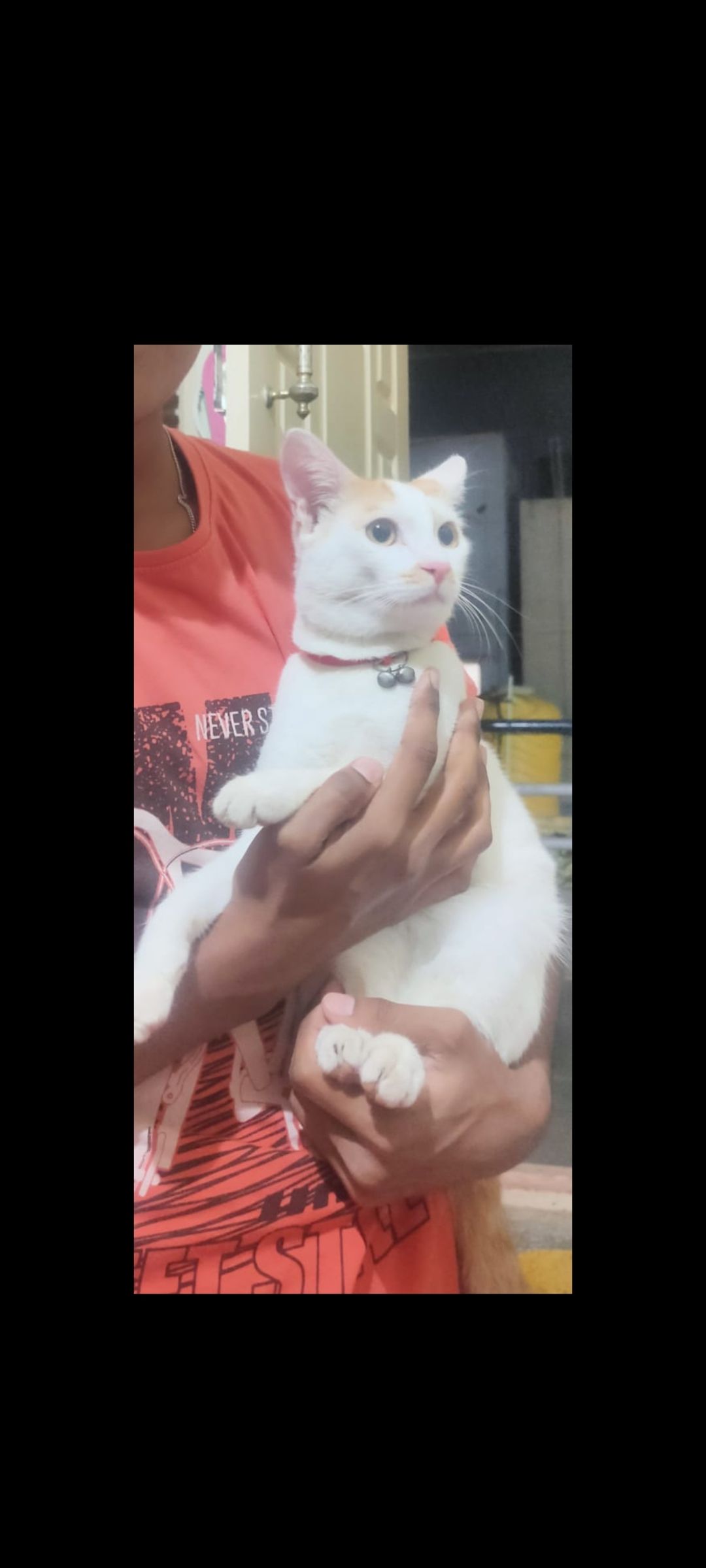 Julie - Sh35, Attibele, shakambari layout,banglore-562107