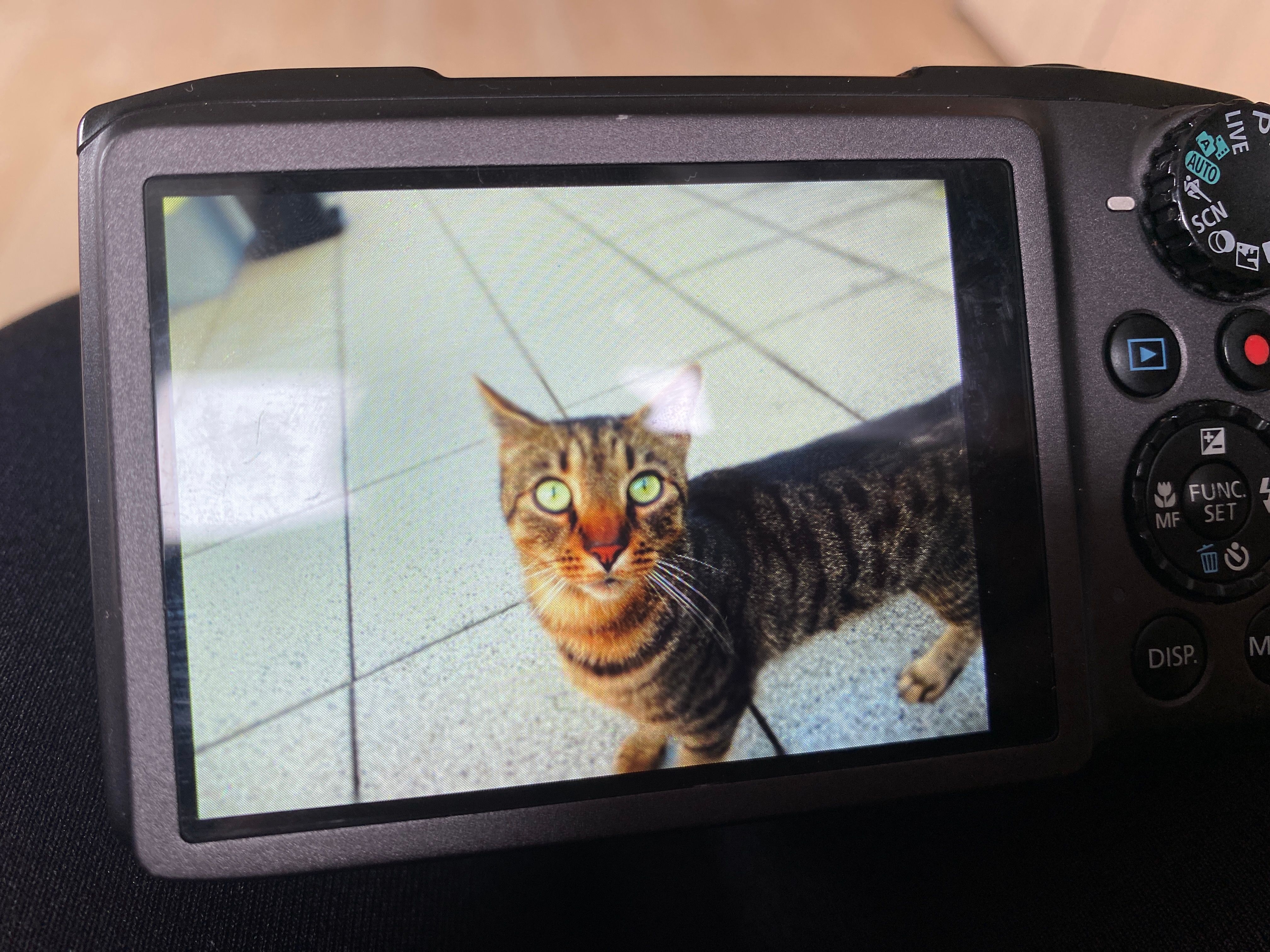 Leo - Obere Au, Pilsting