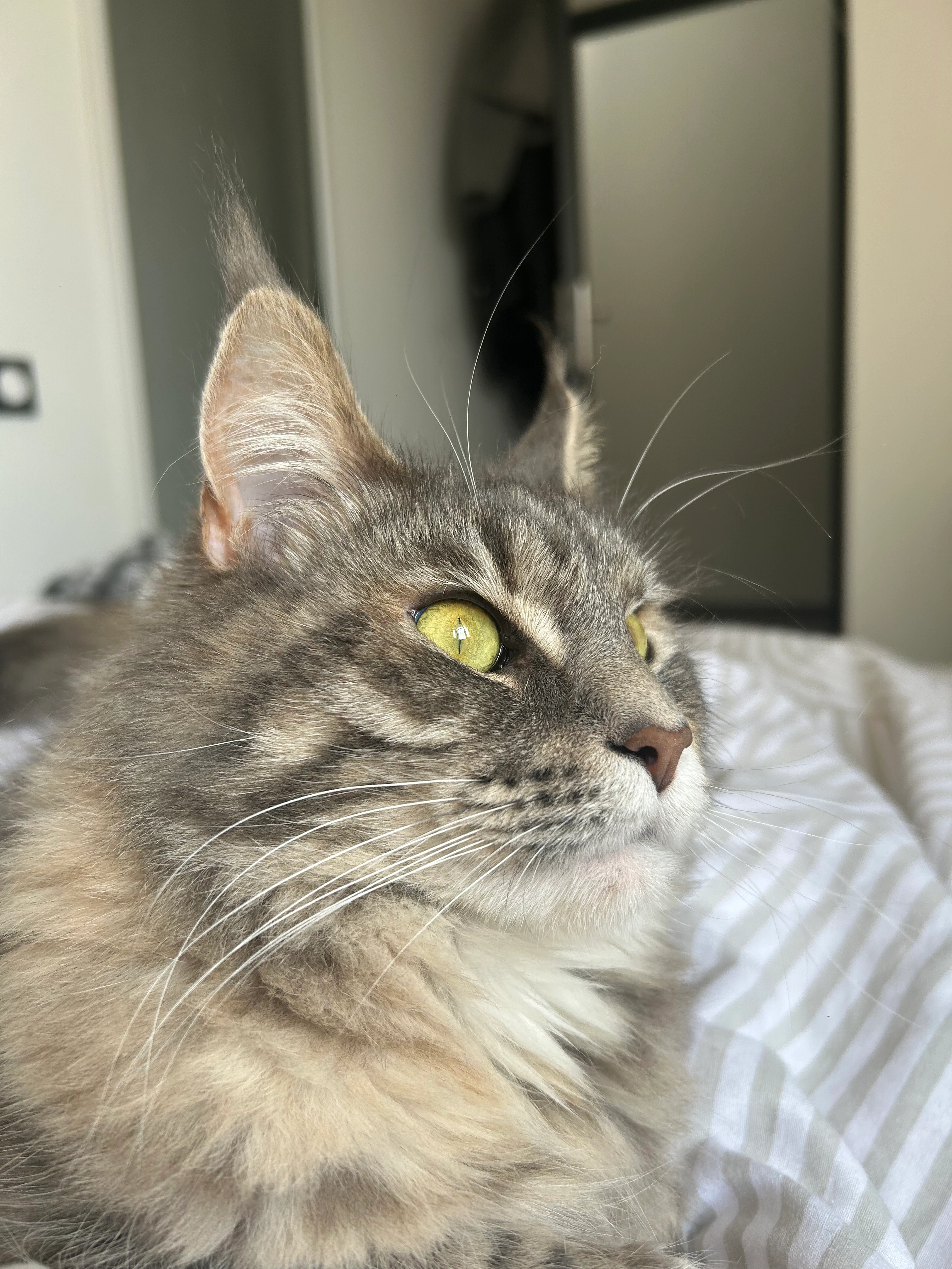 Umy - 85340, Les Sables-d'Olonne