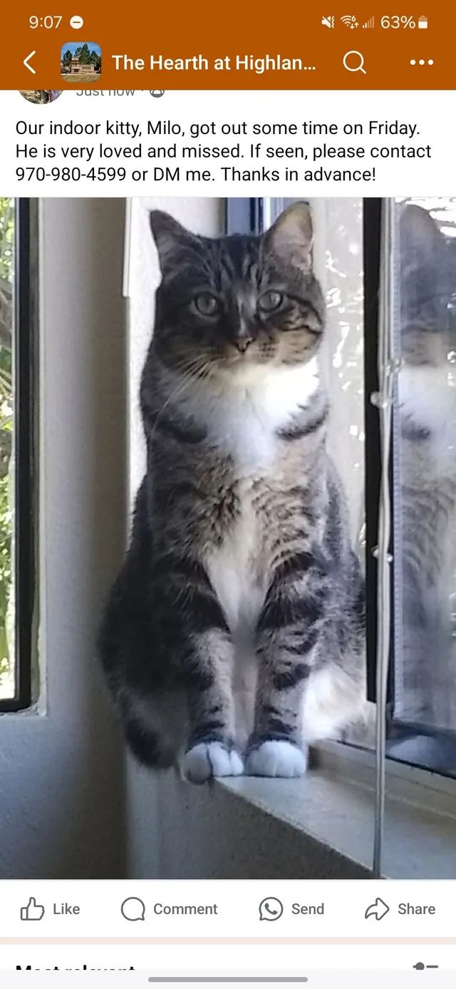 Milo - Fullerton Cir, Littleton