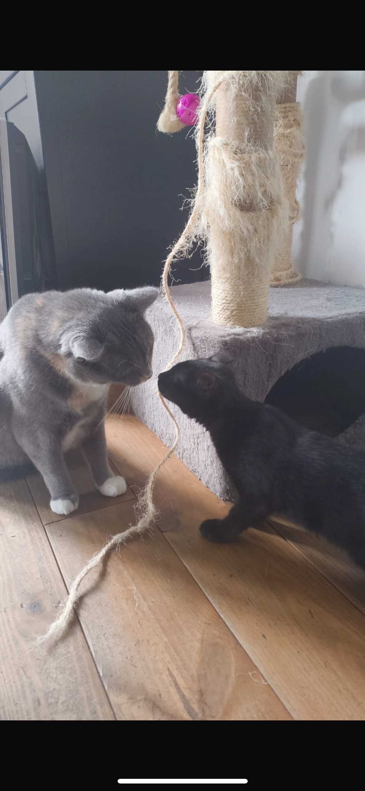 Marley - Rue de l'Avenir 9, Payerne