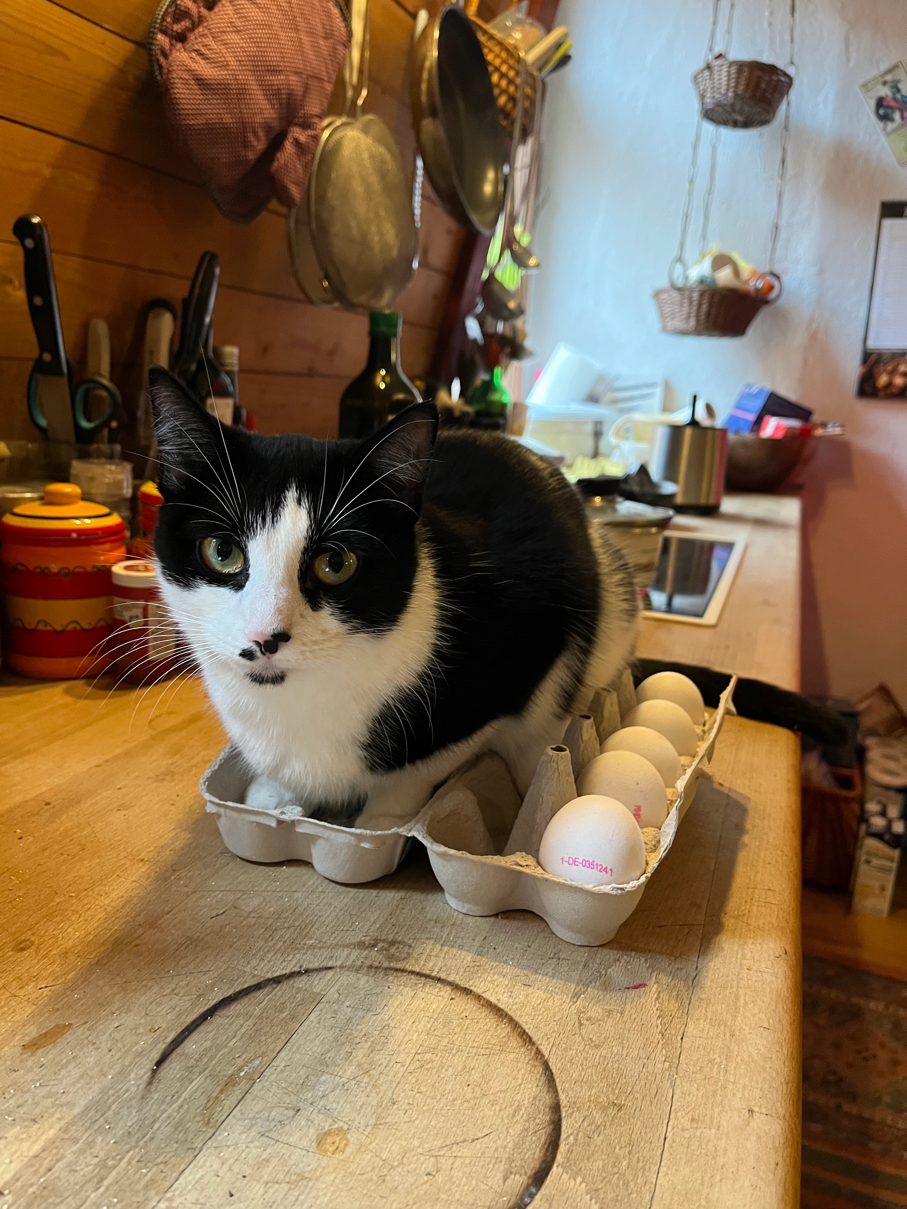 Kaya - Schloßstraße 2, Klipphausen