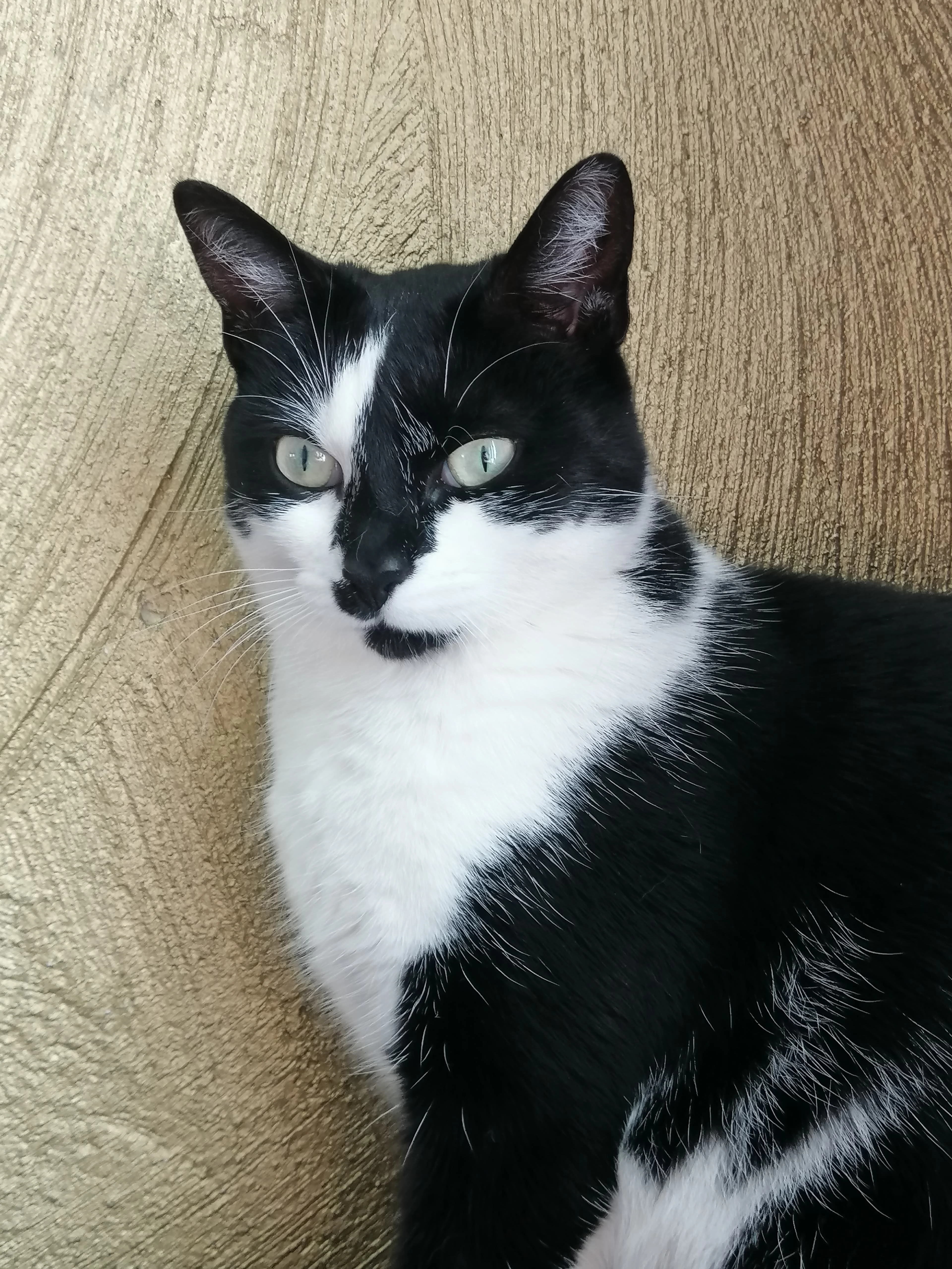 Poezel - Kruisstraat, Nistelrode