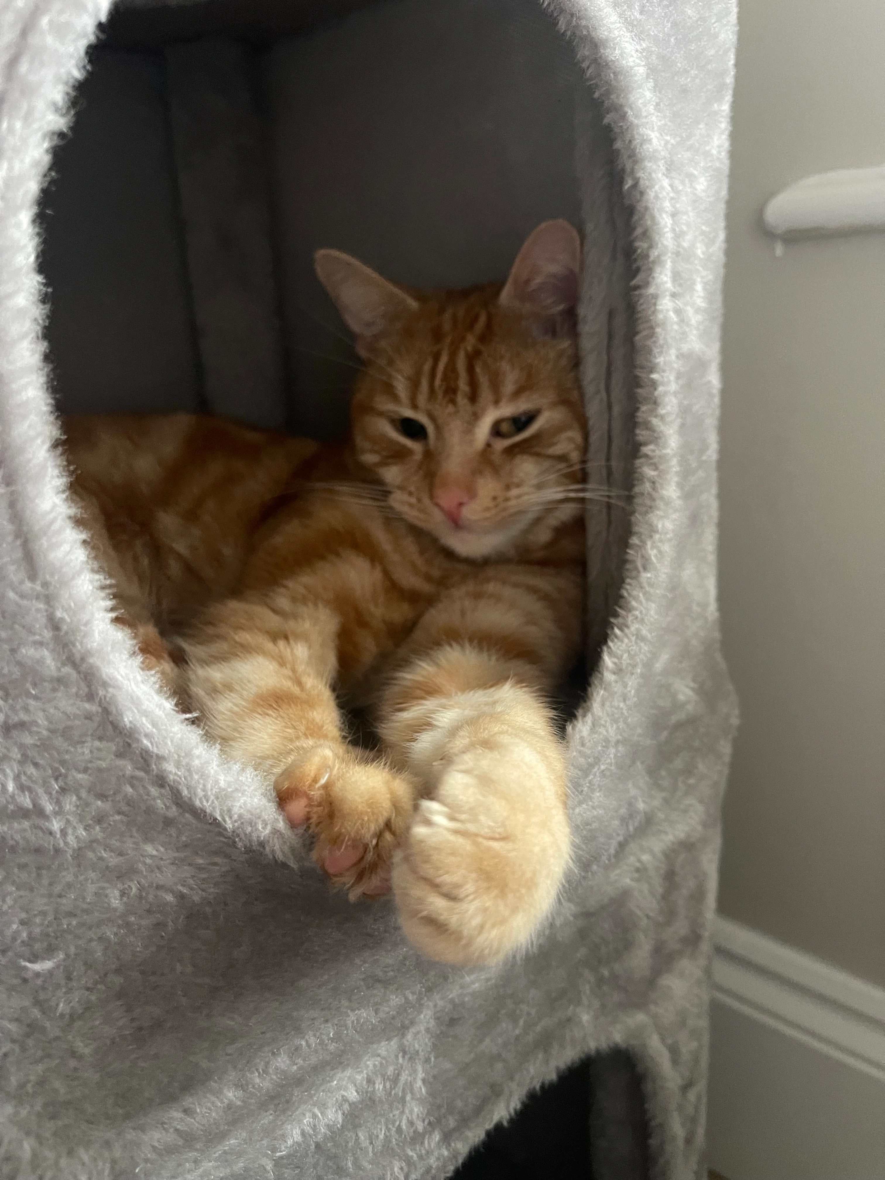 Rio - Somer Avenue, Radstock