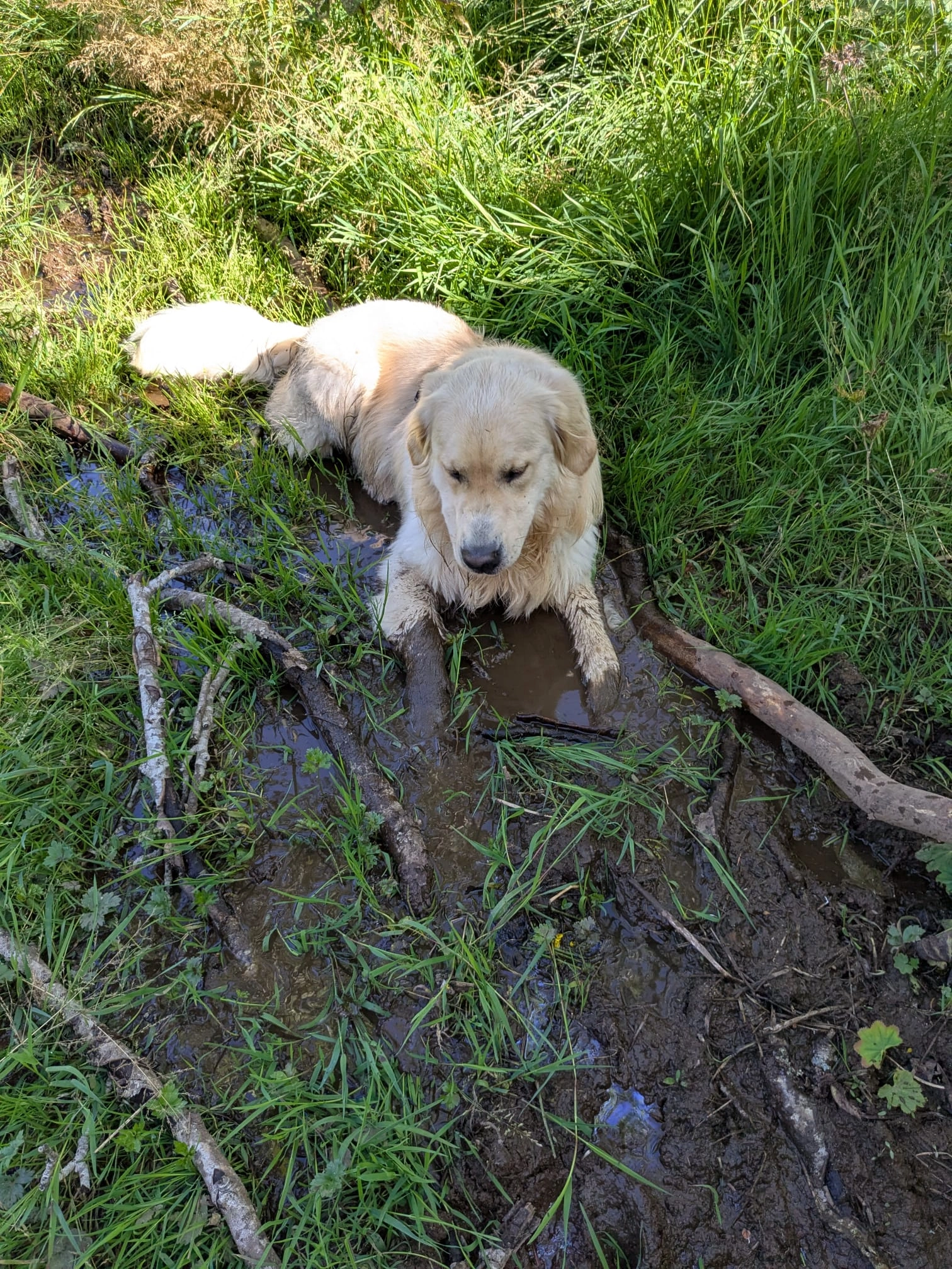 Ufo - 34 Rue Jeanne d'Arc, Berck