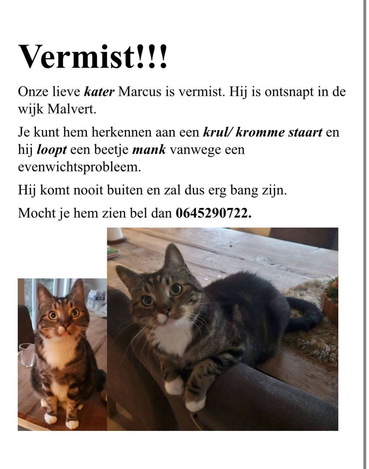 Marcus - Malvert, Nijmegen