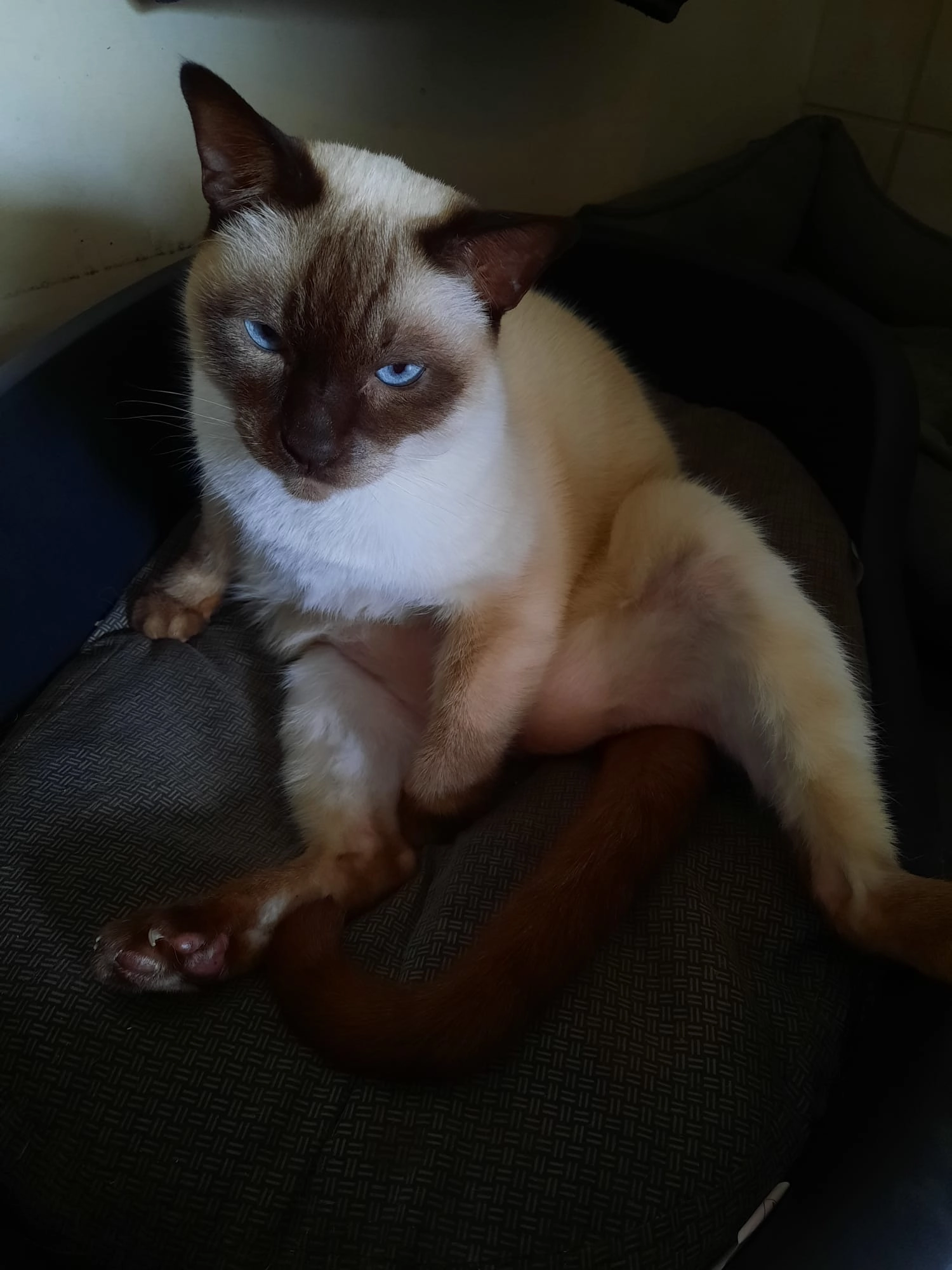 Belinki - Heinrich-Kaiser-Straße, Attendorn