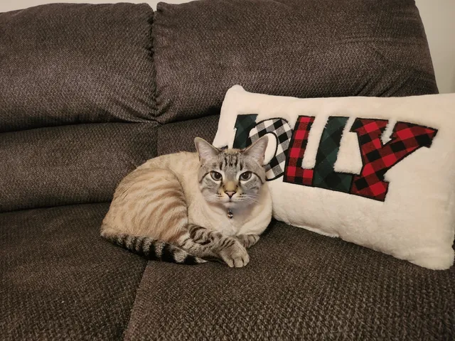 Yoshi - West Cypress Street, Goodyear