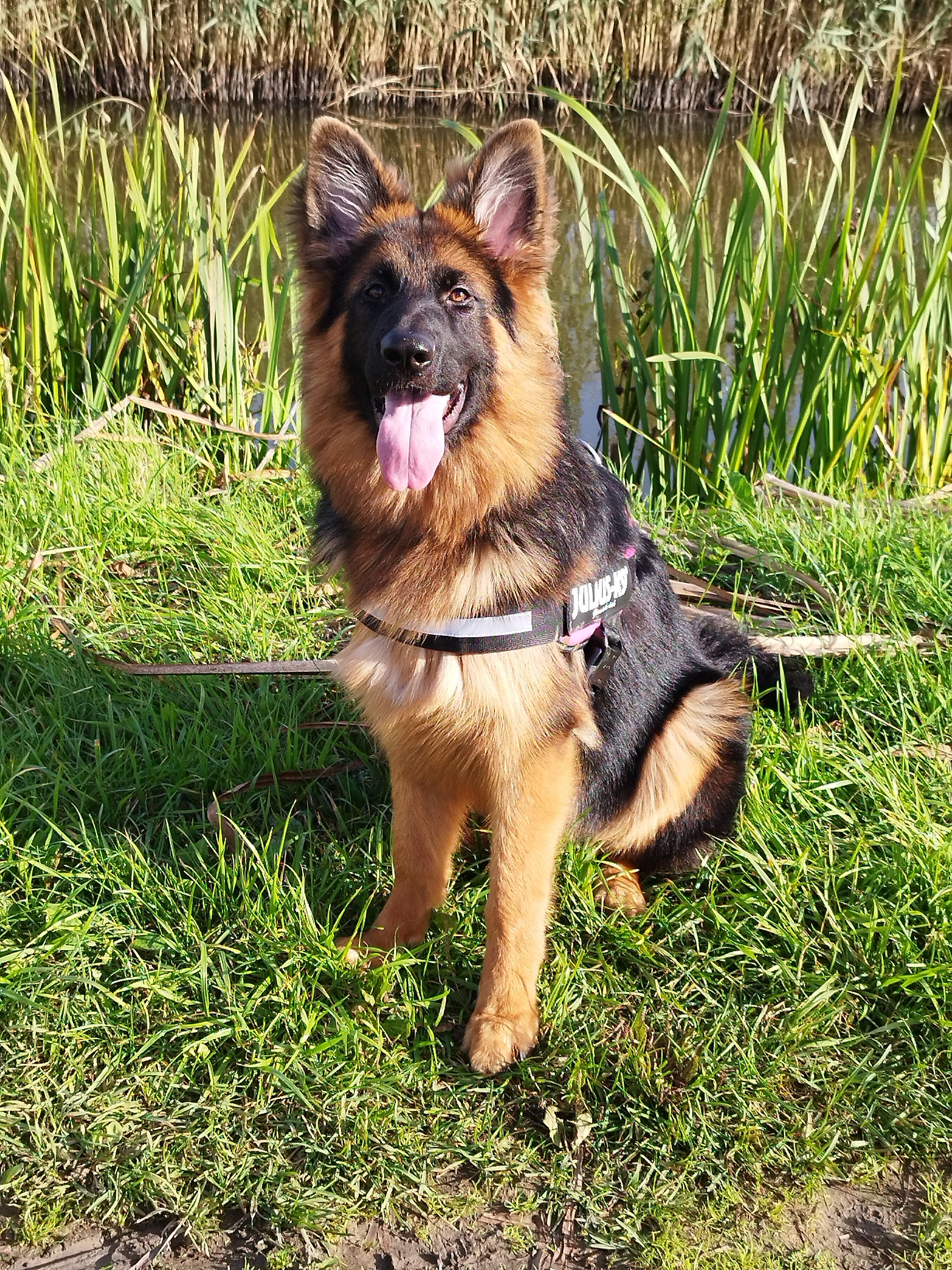 Nora - Park De Kempervennen, Westerhoven