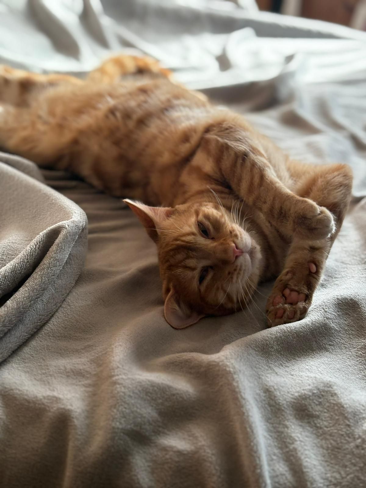 Hermes - Dornhaldestrasse 68, Heimberg