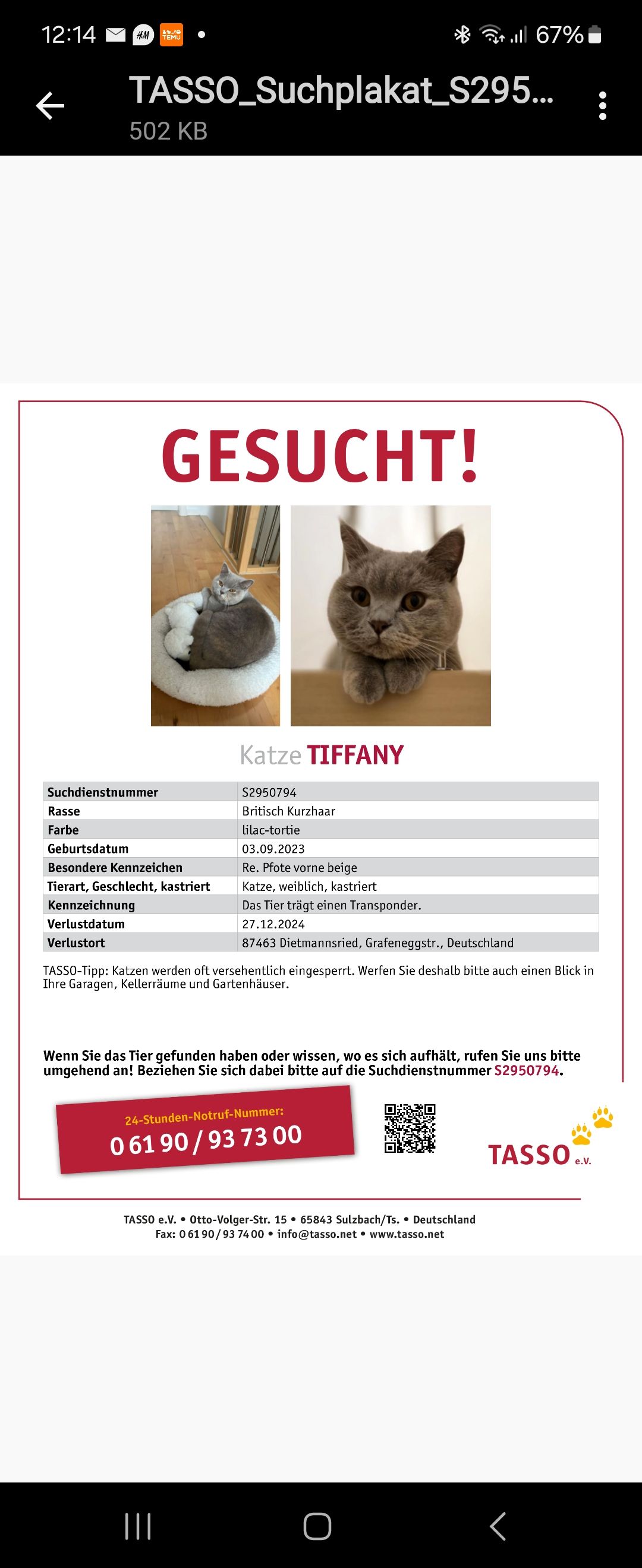 Tiffany  - Grafeneggstraße, Dietmannsried