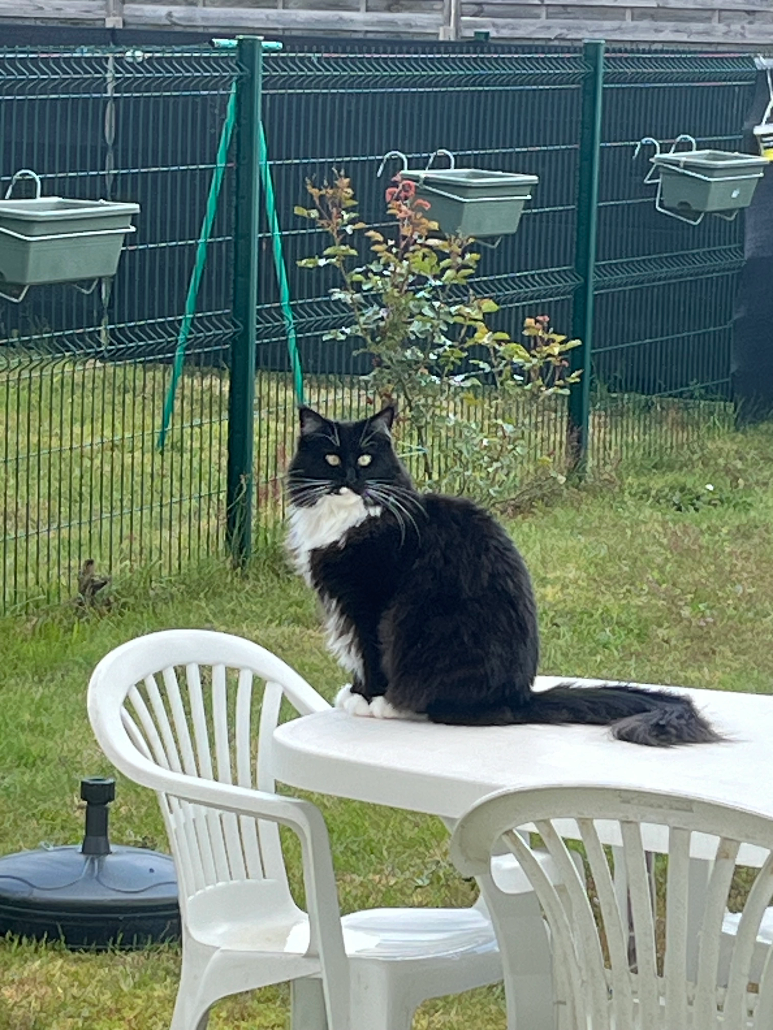 Réha - Rue Pierre Et Marie Curie, Lorris