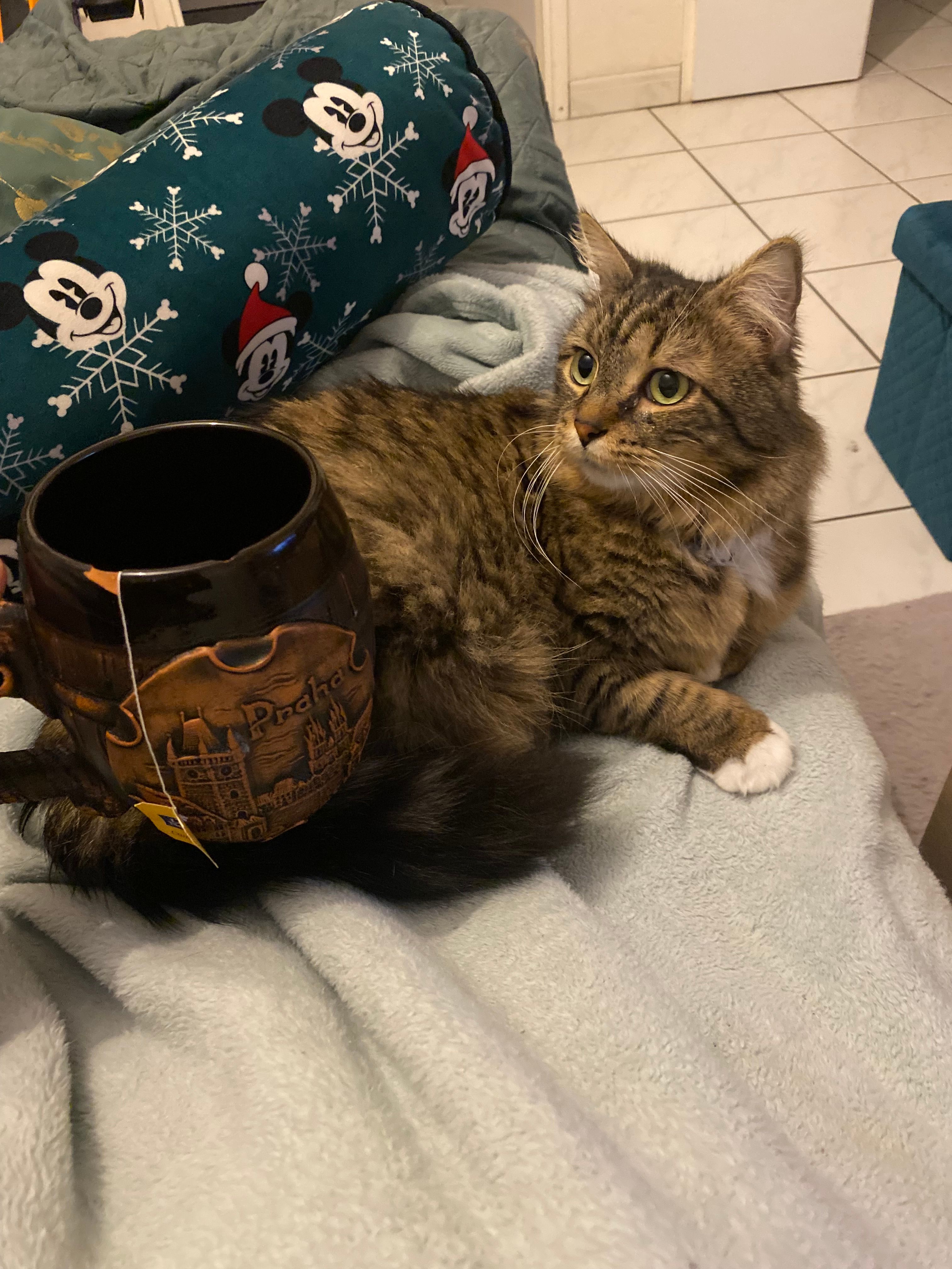 Tamao - 50 Rue des Moissons, Agen