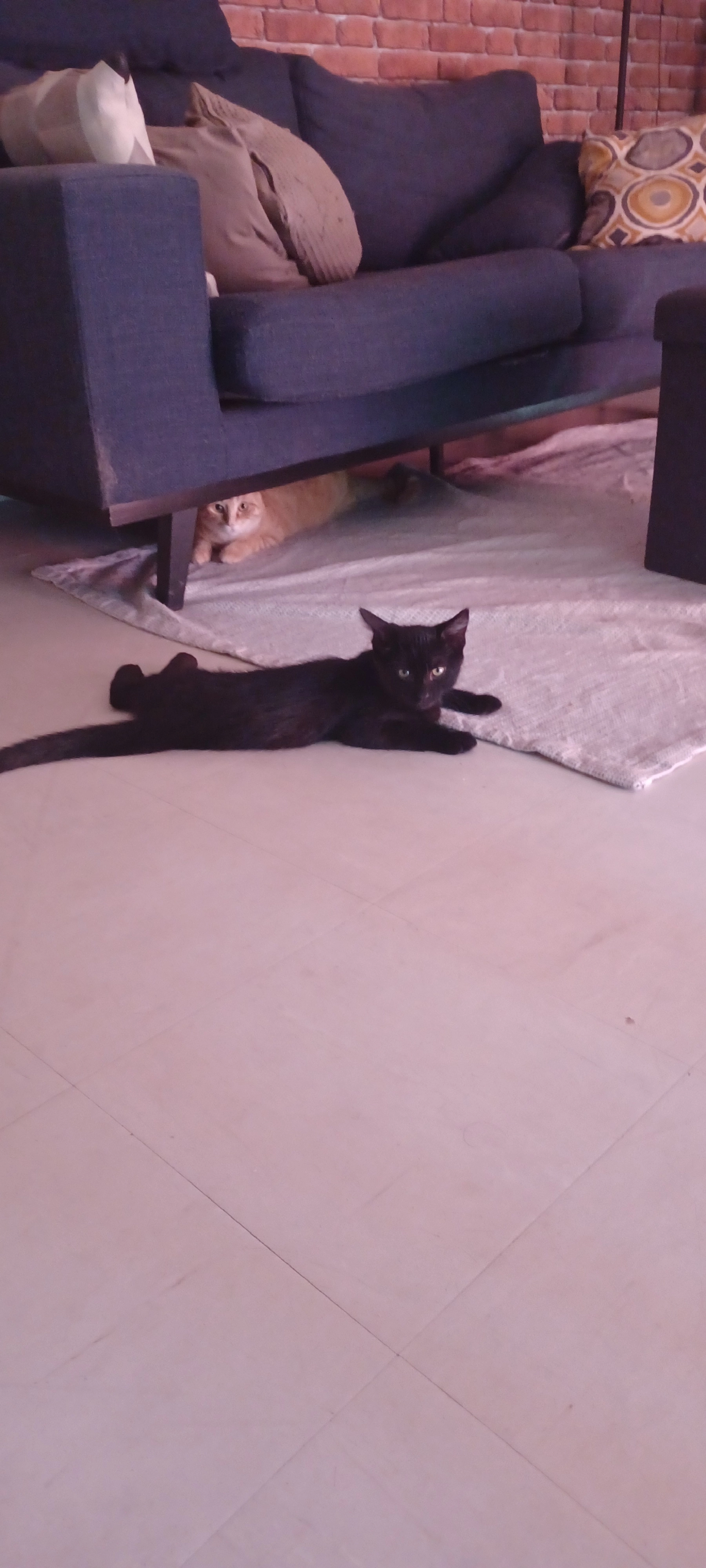 Kyoto - Chemin de la Prantelle, Saint-Étienne-de-Chigny