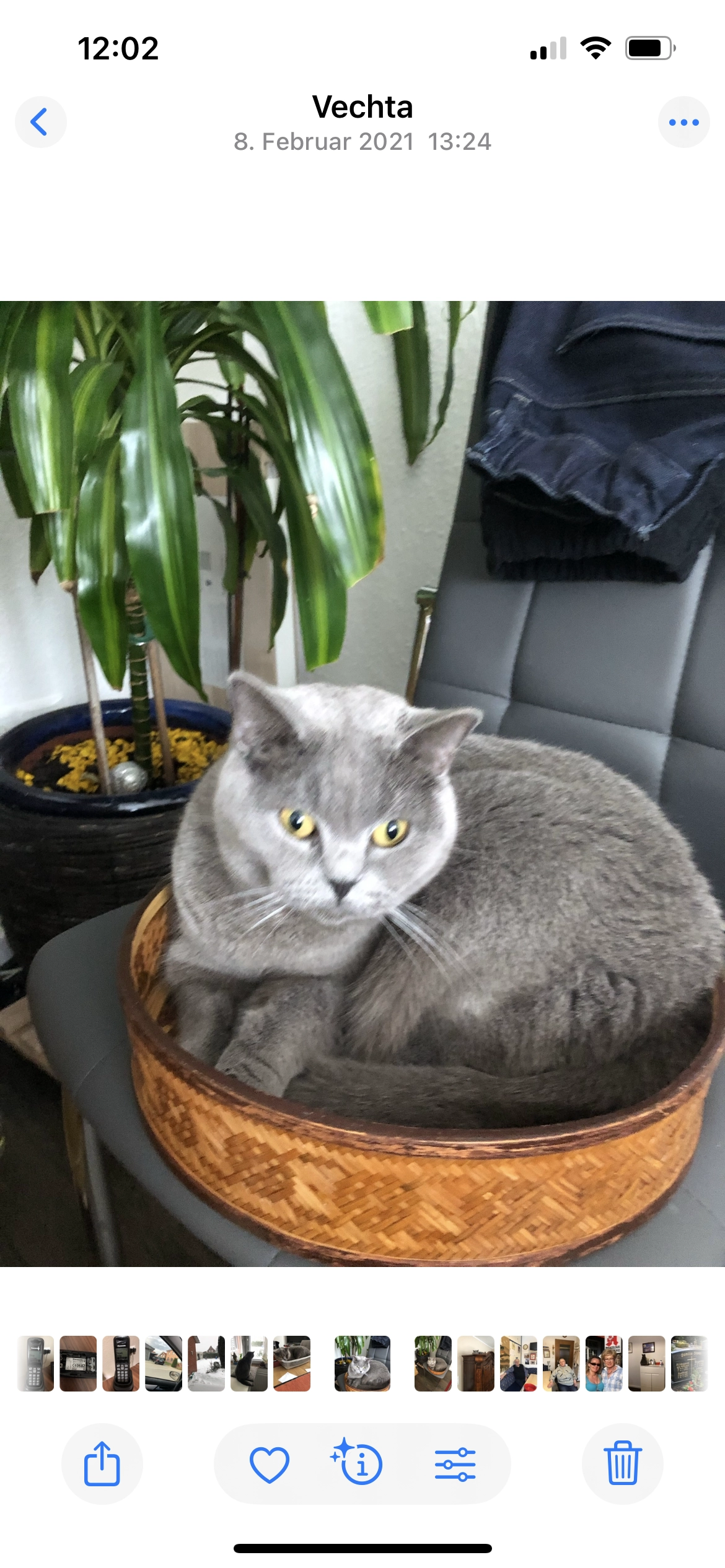 Mimi  - Breslauer Straße, Vechta