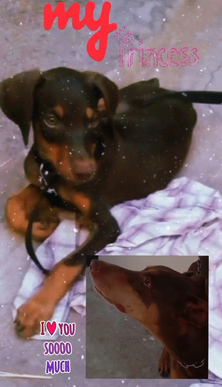 Jenny - Morabadi Road, Kanke