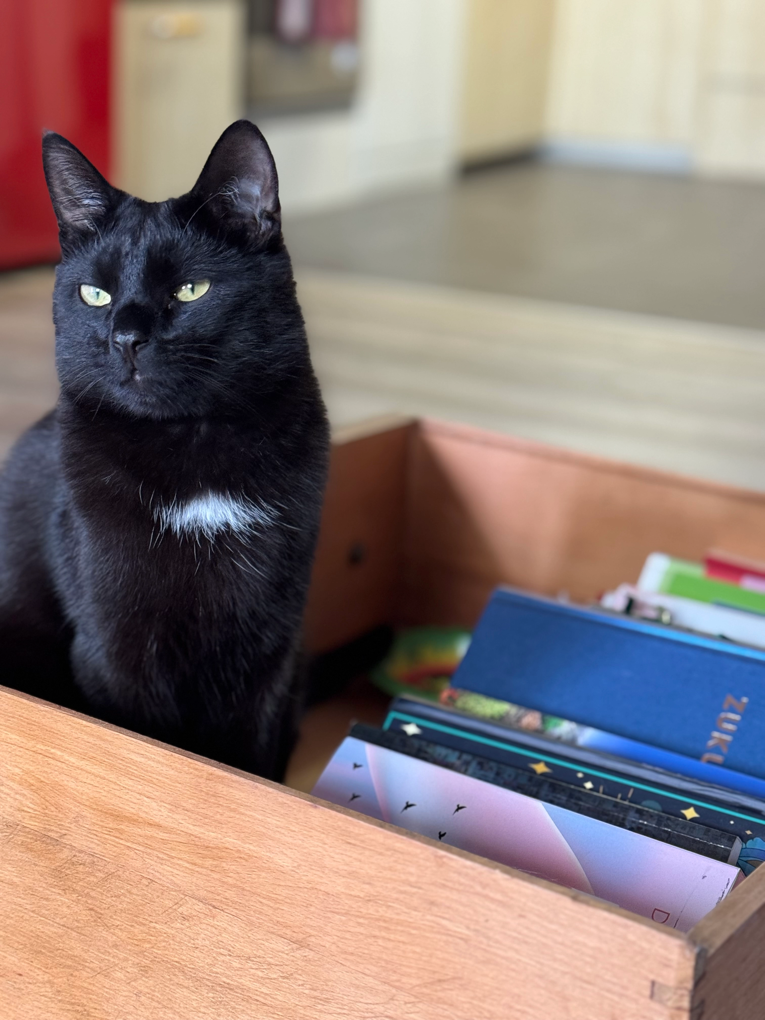 Mogli - 45. Sokak, Tepe