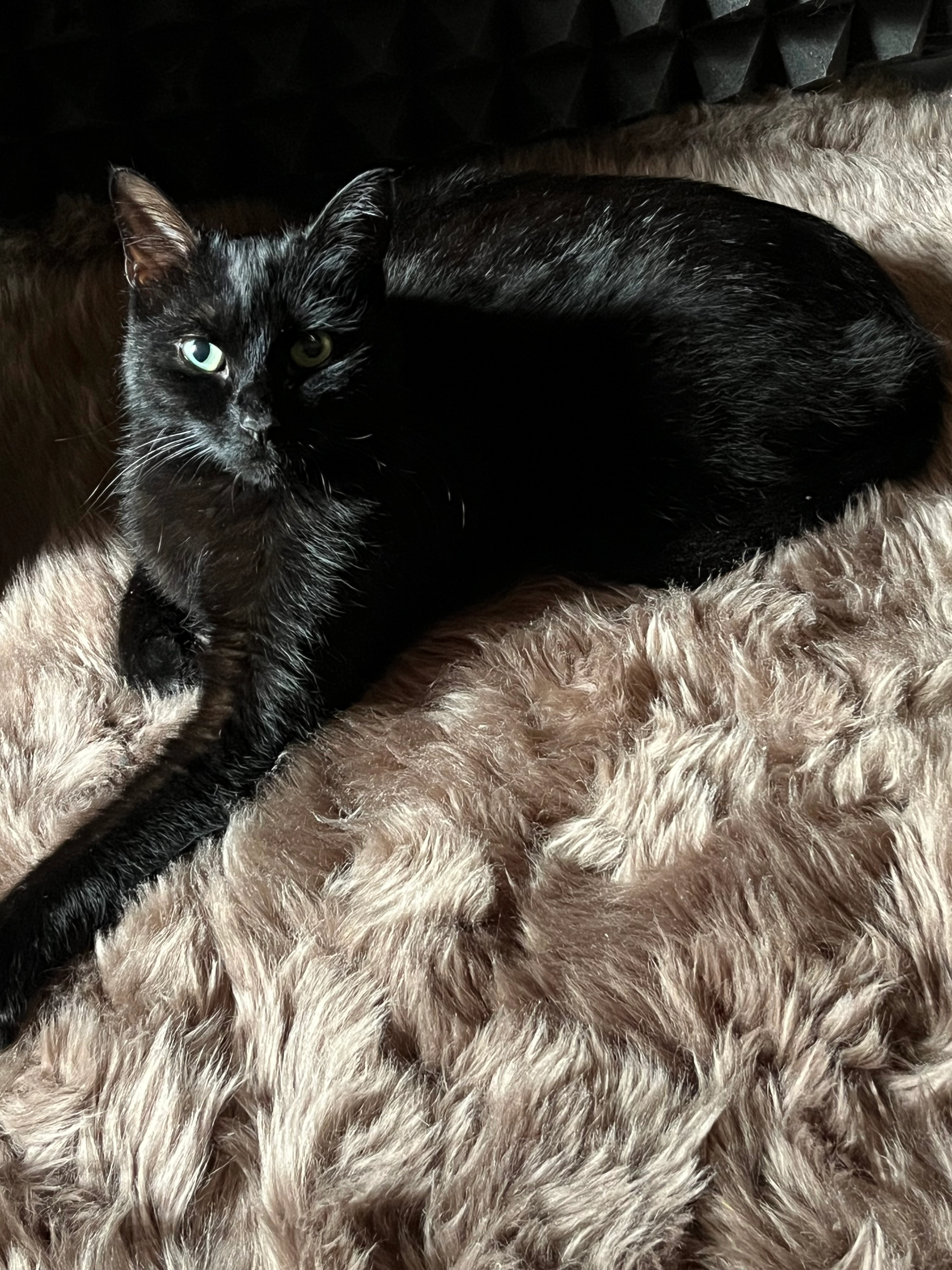 Rocky  - Glashüttenstraße, Rodalben